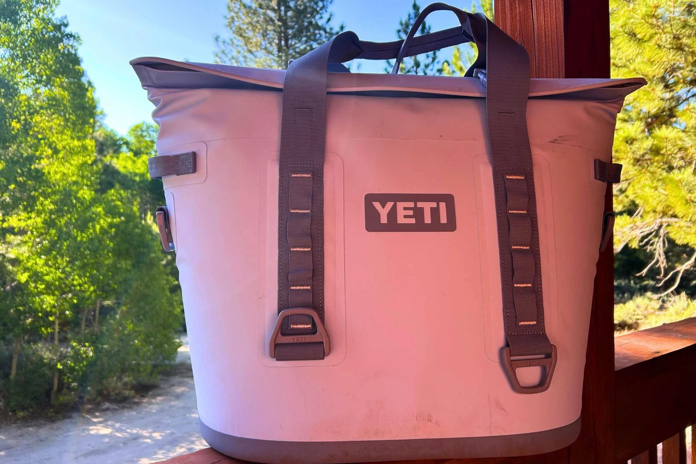 Strong Yeti YETI Hopper M30 2.0 Tote Soft Cooler Review (Tested)
