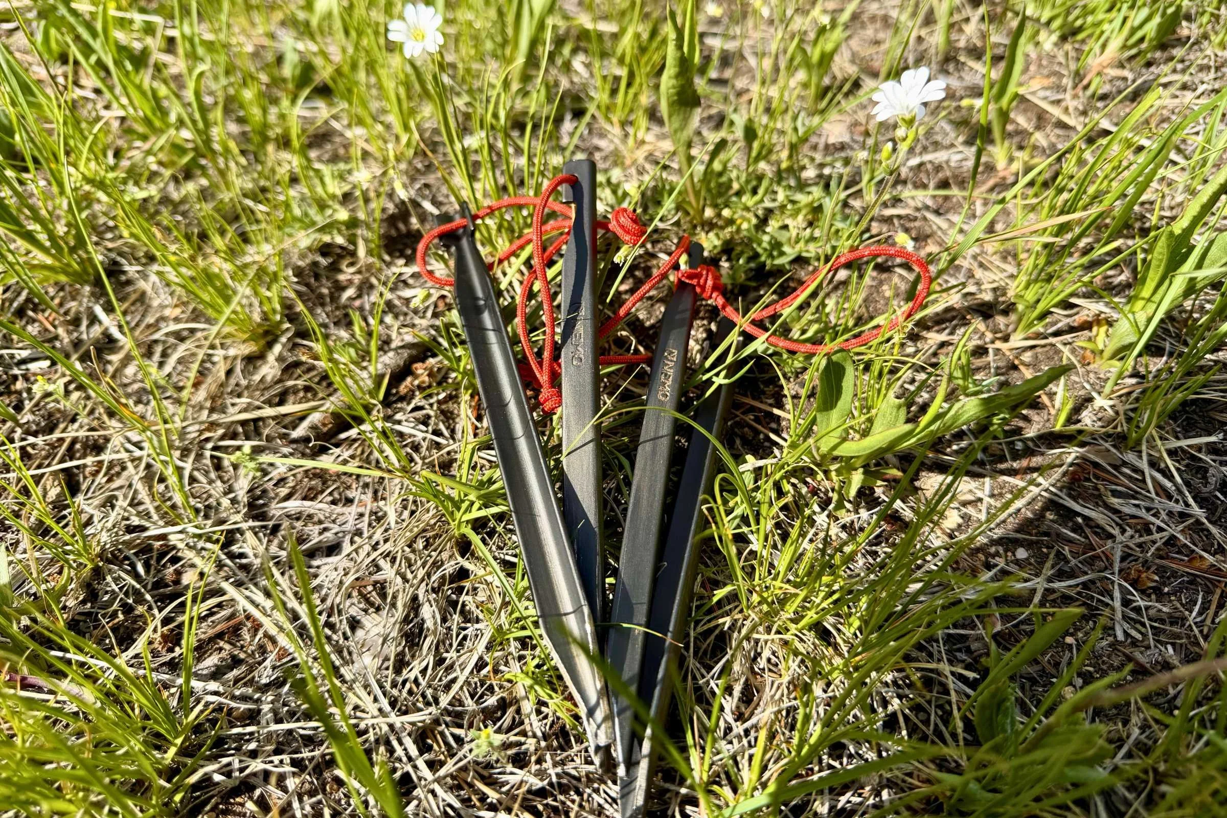 These are the stakes after 5+ uses of the tent outdoors; they are easy to clean and fairly durable.