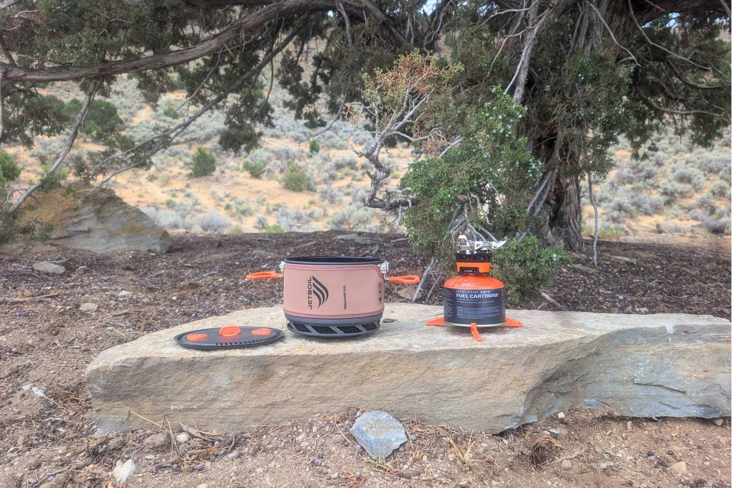 The Jetboil TrailCook's lid, pot, and burner in a row on a rock in front of a juniper.