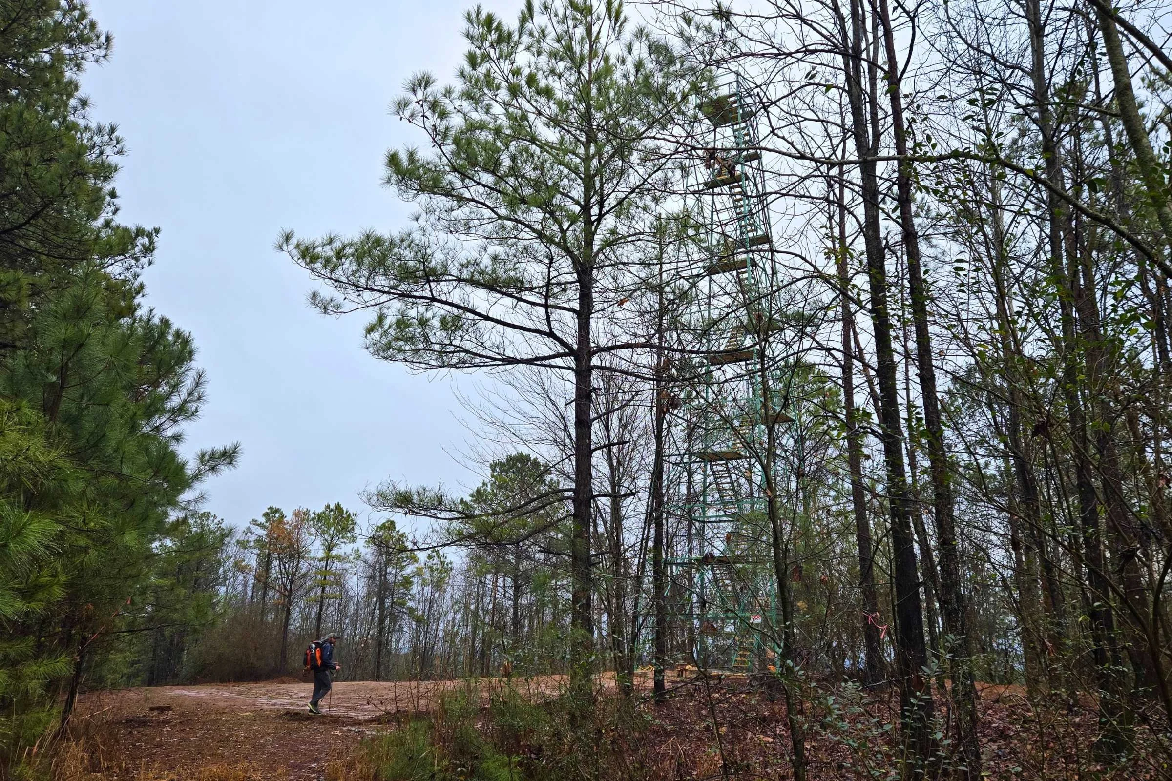 Terrapin Hill “Top of the World” Observation Tower was officially opened in Spring of 2026.