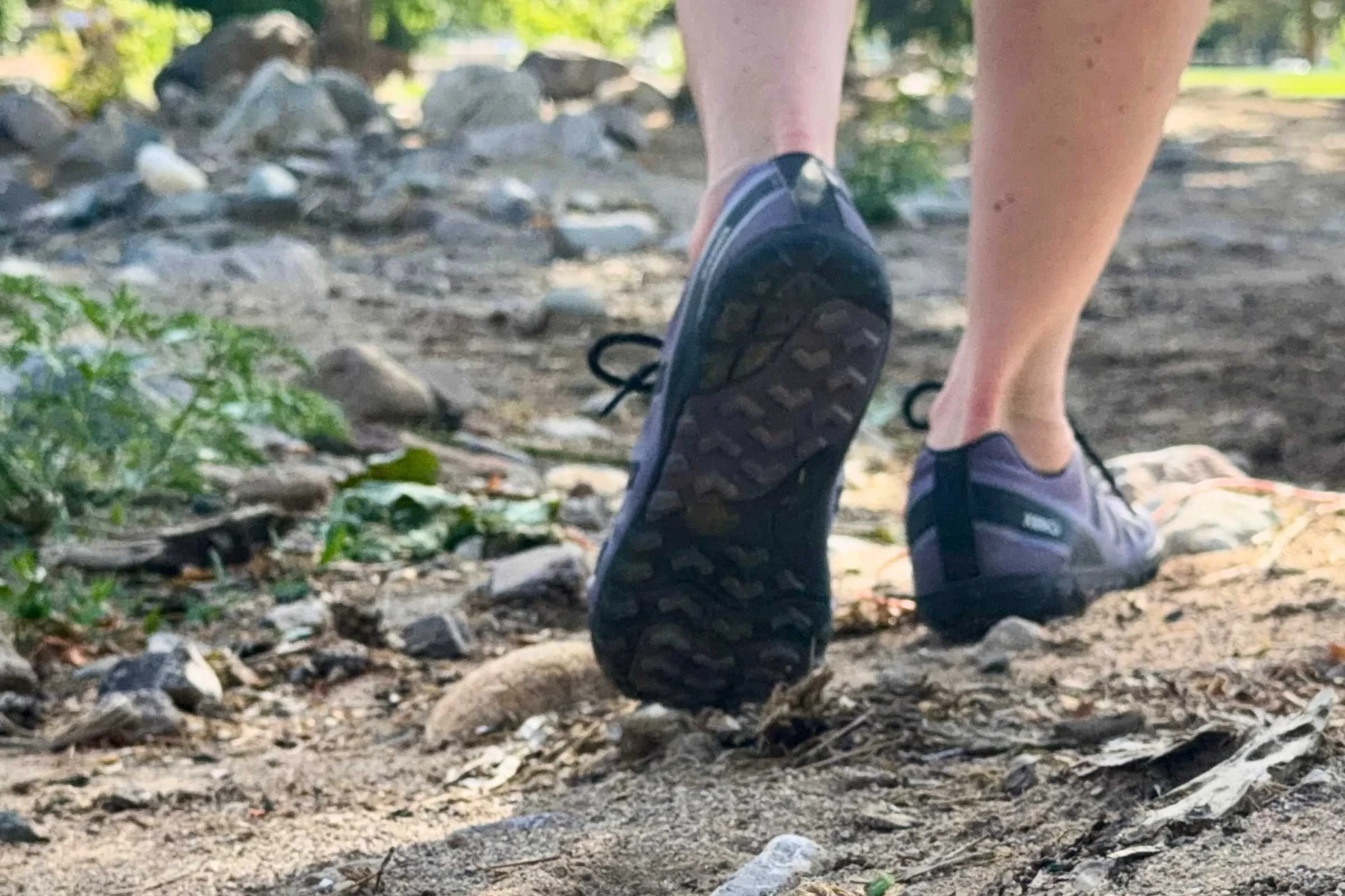 Hiking over scrubby ground in the Xero Mesa Trail II. Photo courtesy Maggie Nichols