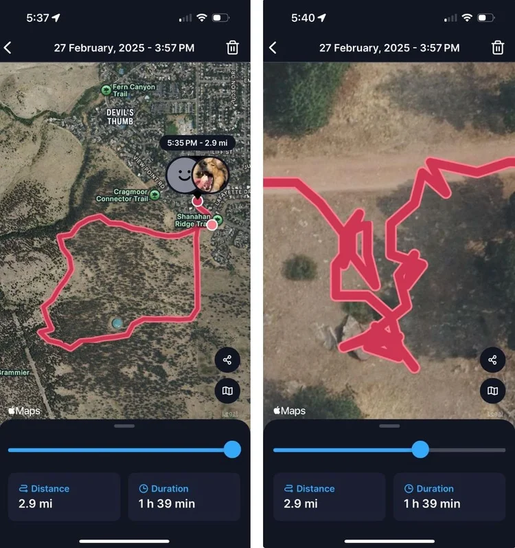 Picture of 4 Best GPS Dog Collars of 2026 (Tested & Reviewed)