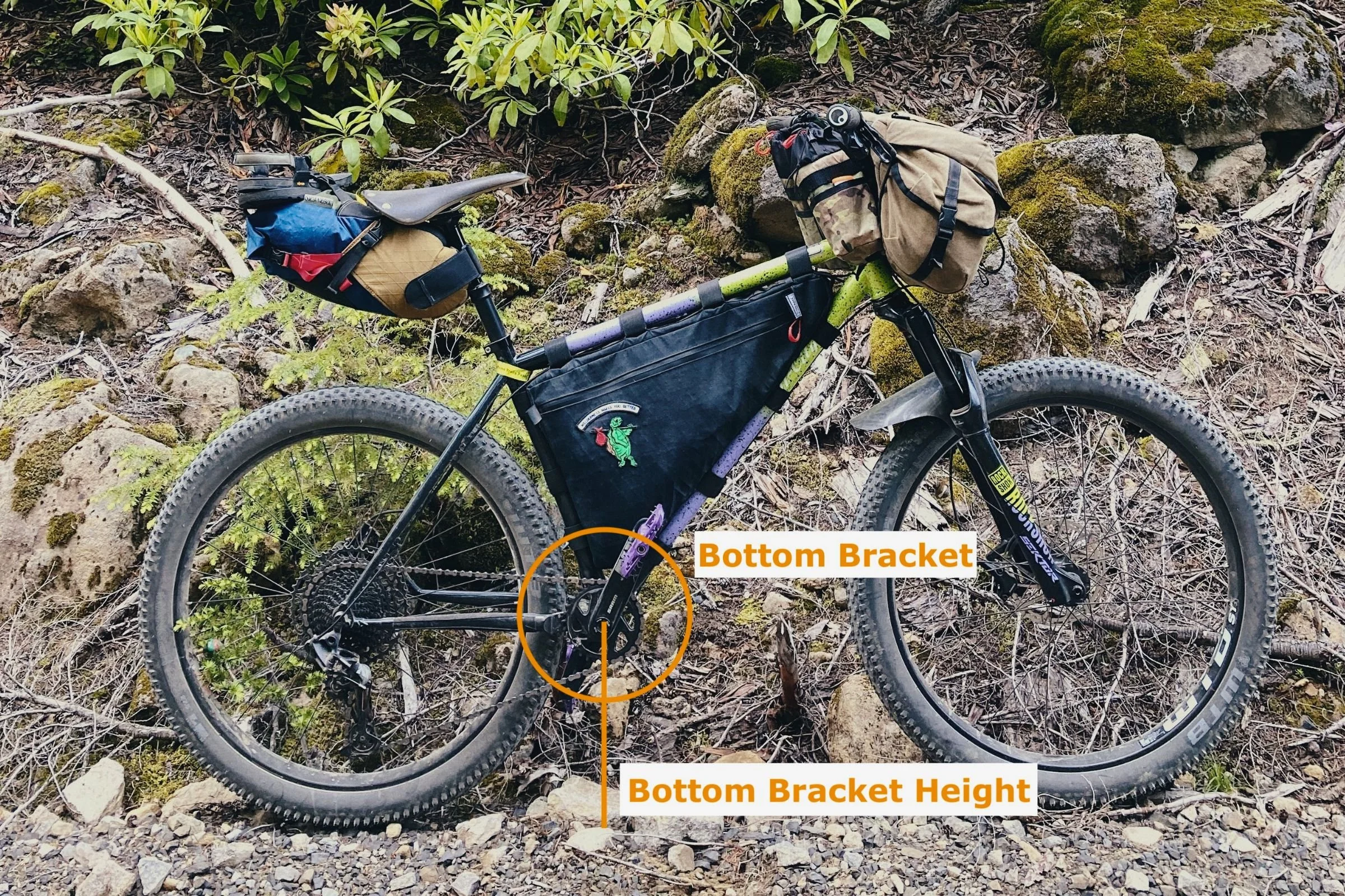 Bike Bottom Bracket Height
