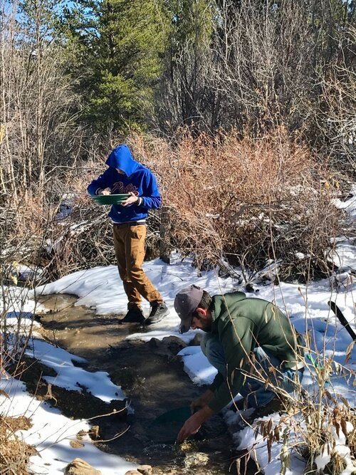 Gold Panning Like a Pro 