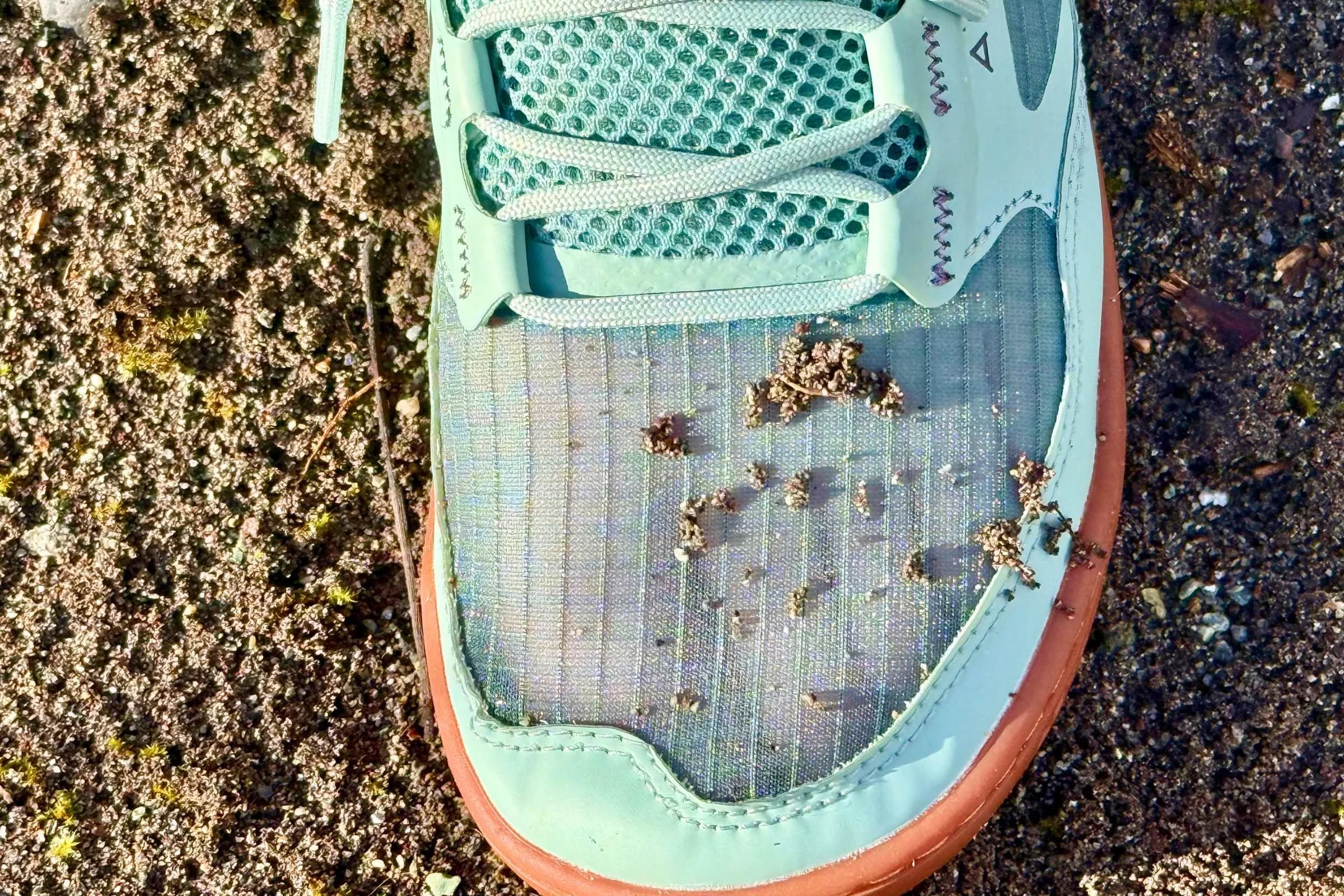 Walking on sandy beach in water shoes