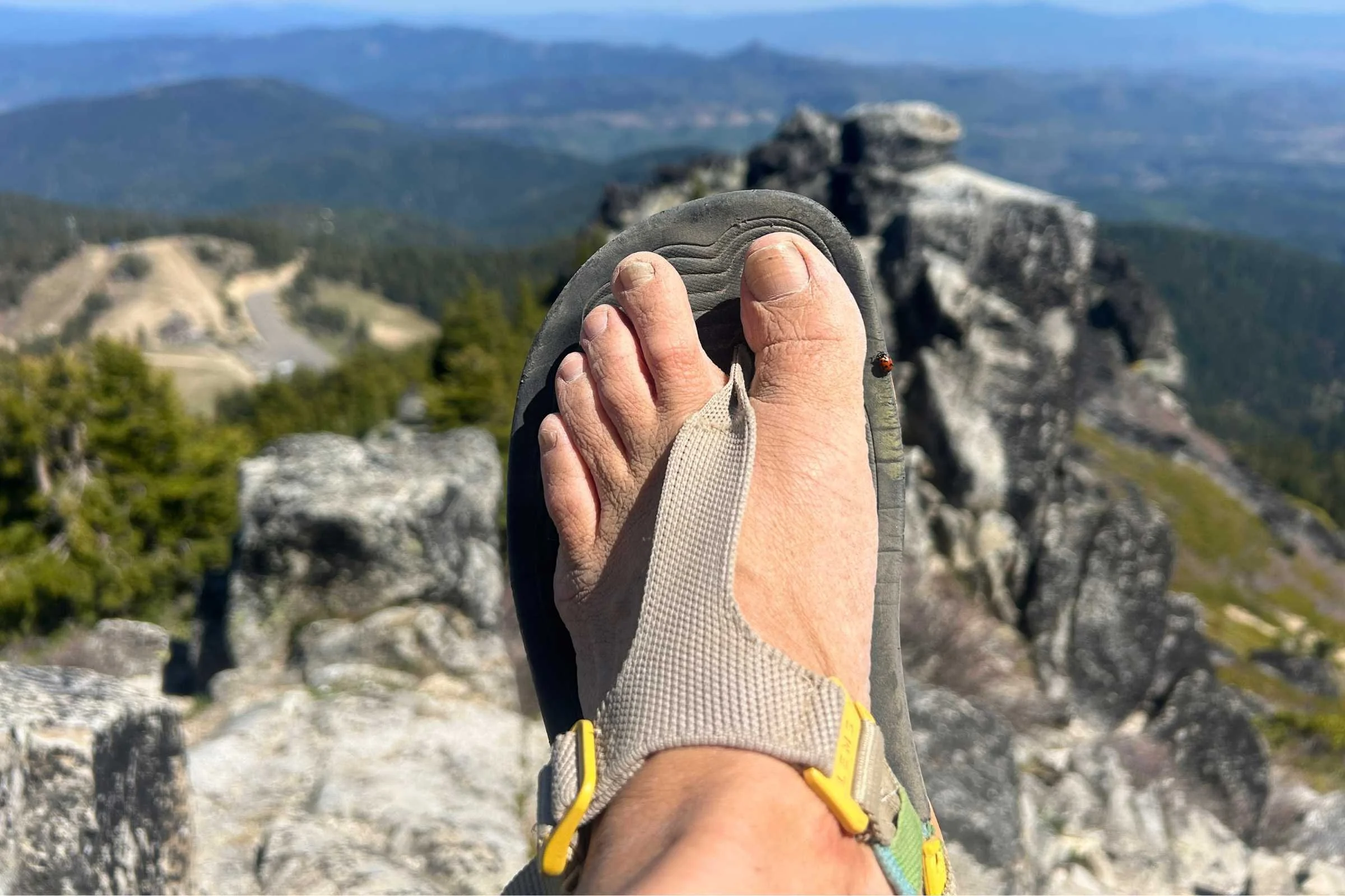 Close-up of the top of the Lems Switchback Sandal Knit. You can see how the webbing fits between the toes like a flip flop, and the wider webbing across the top of the foot.