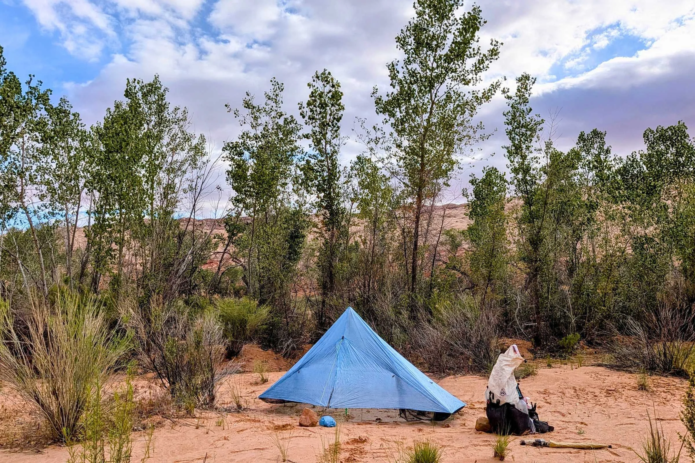 Zpacks Hexamid Ultralight Tent set up in a desert landscape with trees and bushes nearby.