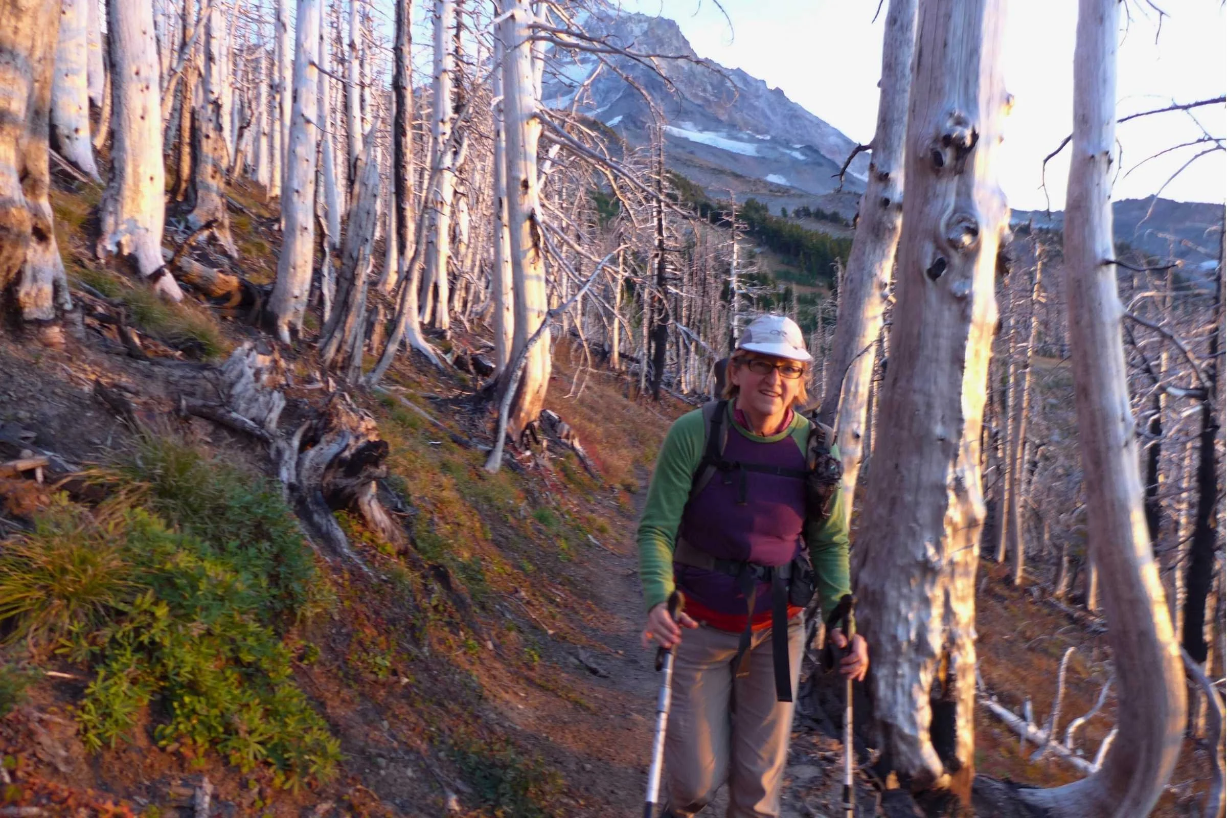 Timberline Where to Go Guide