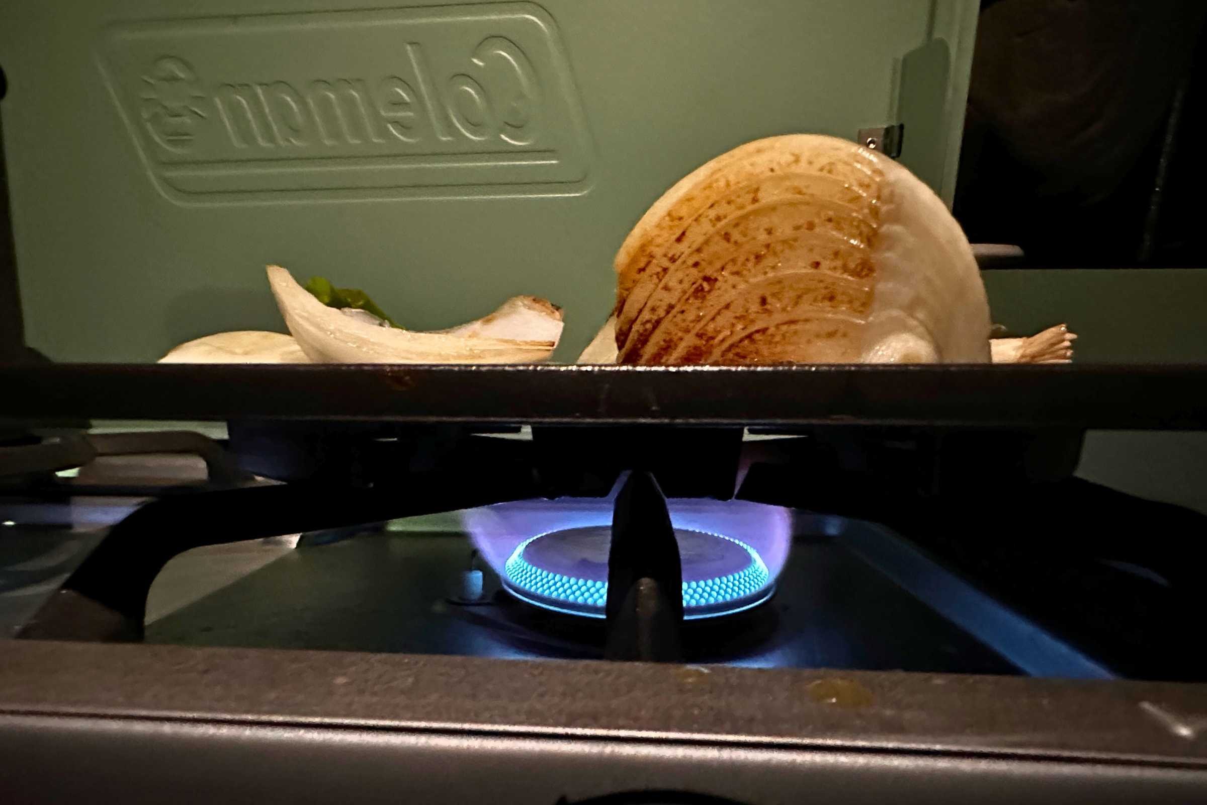 High flame and heat cooking on the Coleman’s cast iron grill.