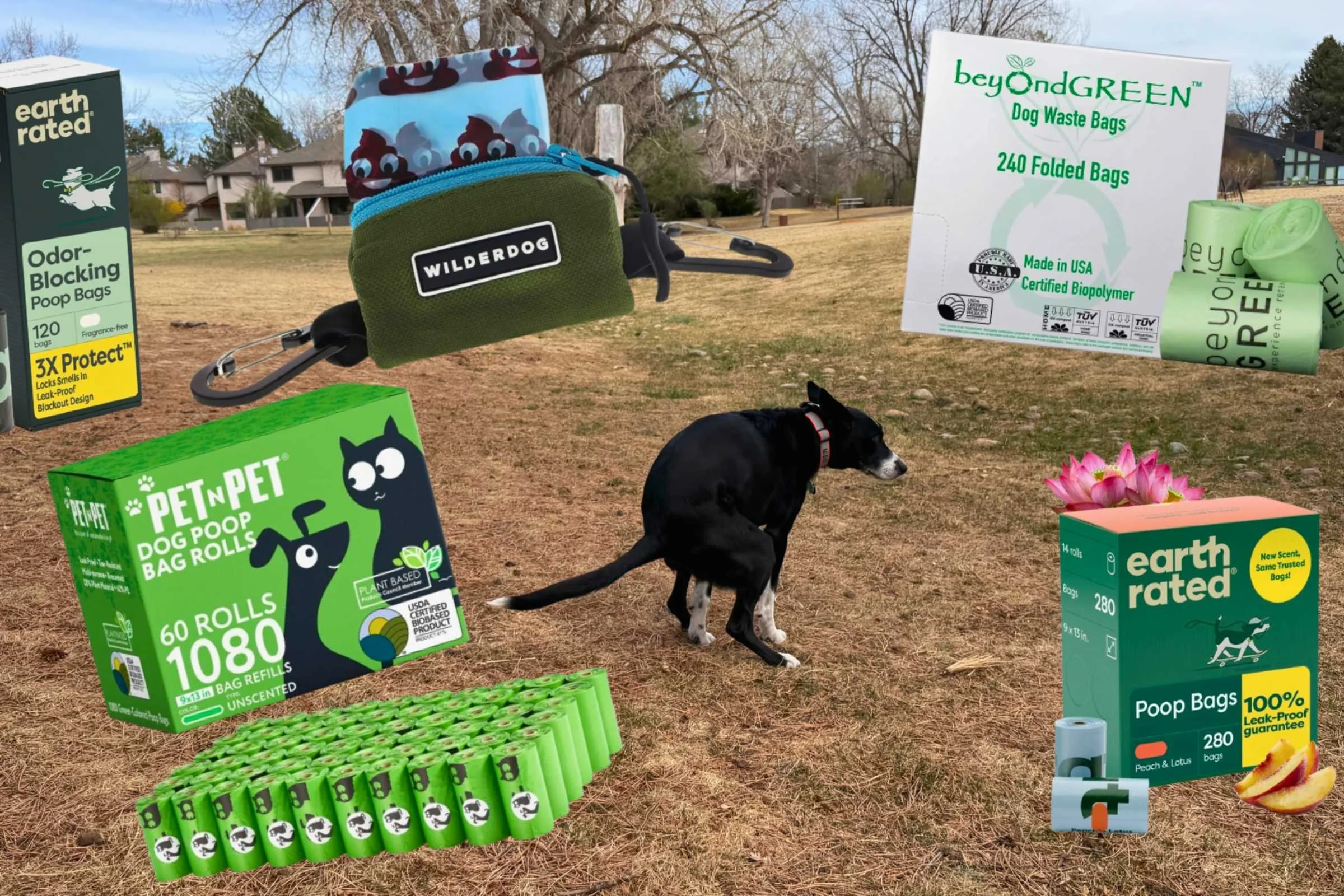 Dog squatting with images of poop bags and poop bag holders surrounding her