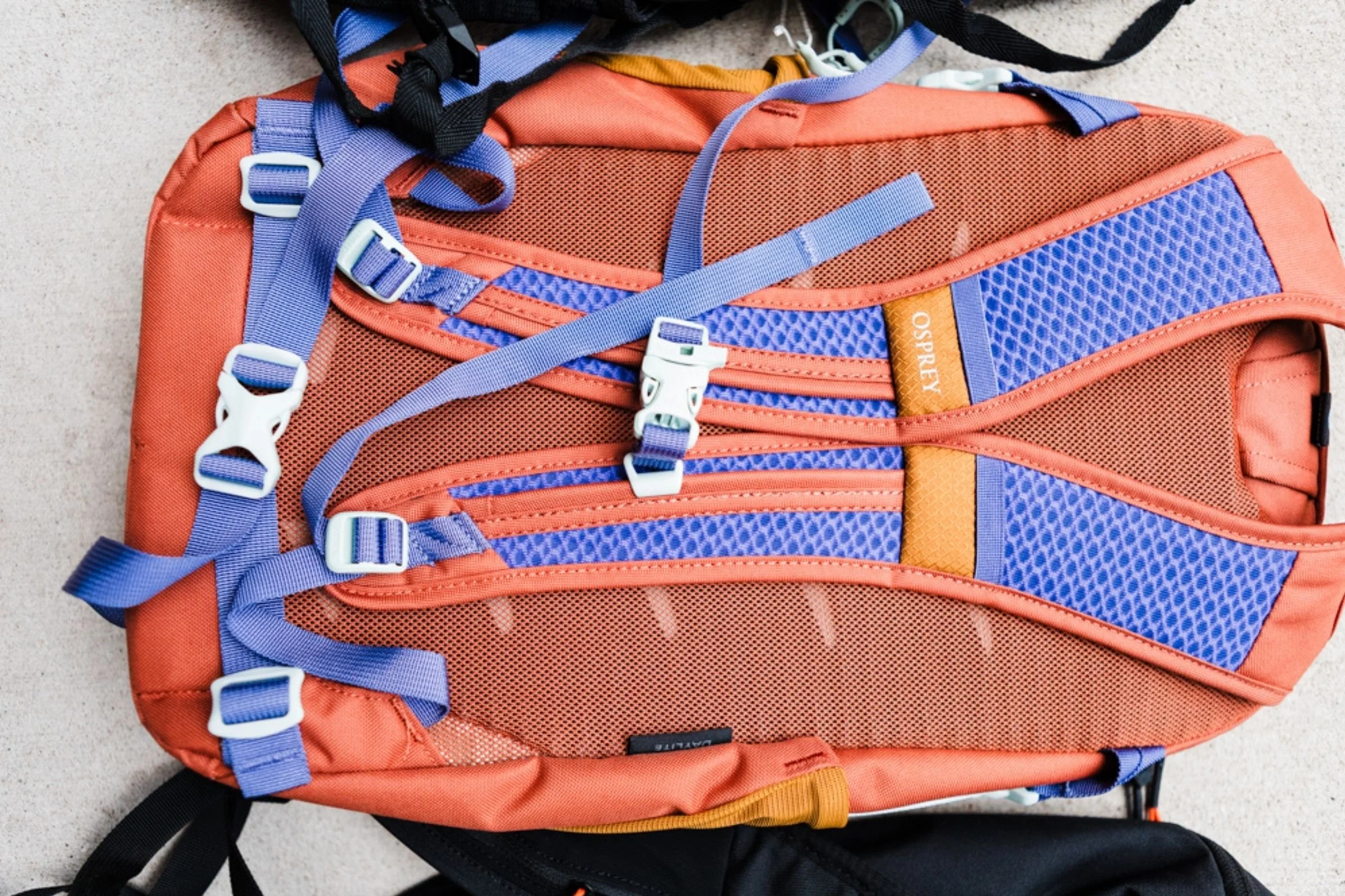 A closeup of the Osprey Daylite's shoulder straps and hip belt.