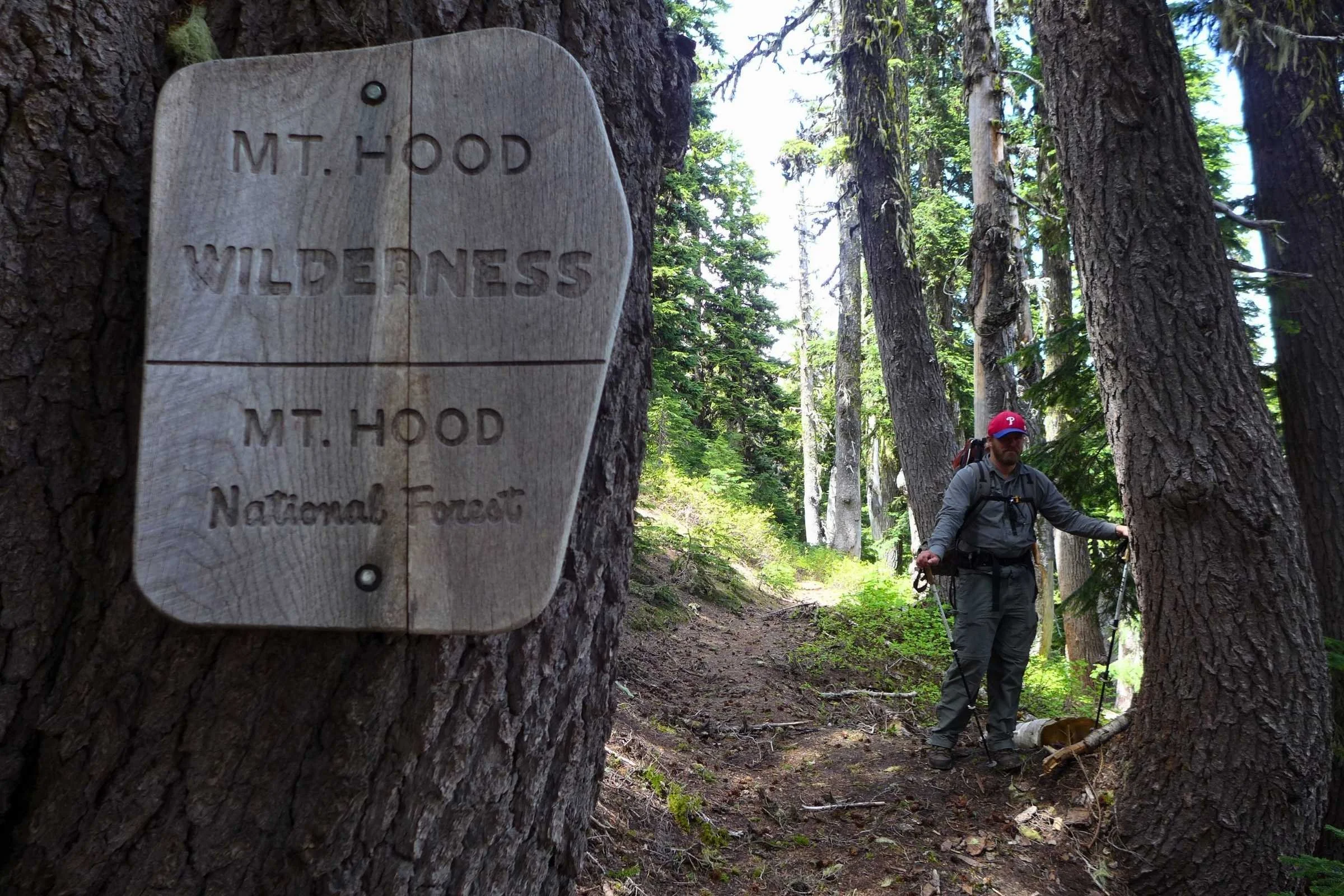 Timberline Where to Go Guide