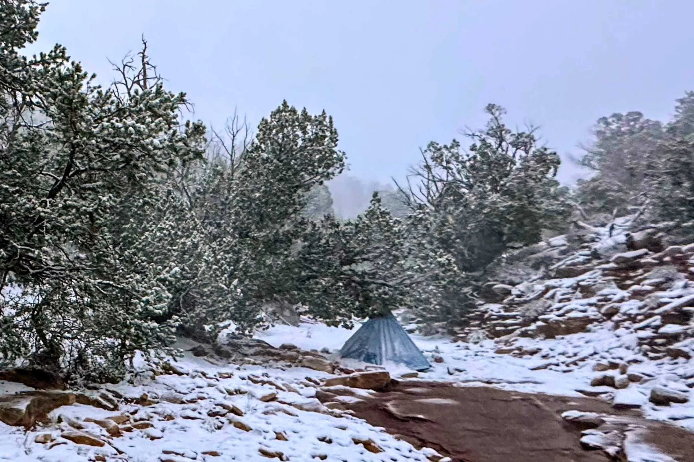 Zpacks Hexamid Ultralight Tent pitched on a snowy trail in winter conditions.
