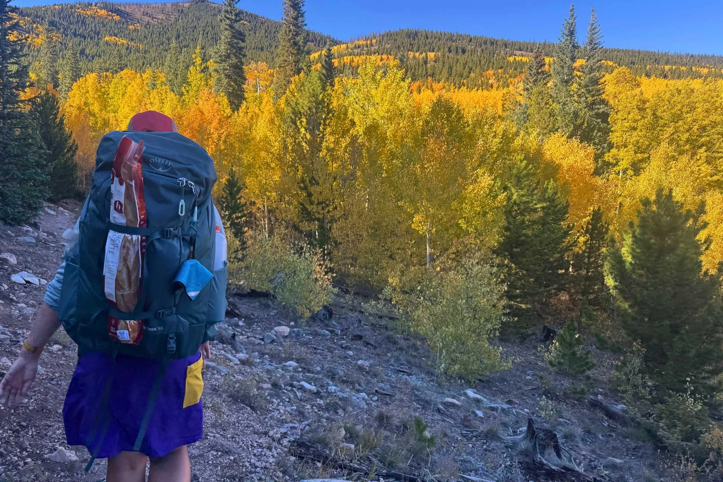 Hiker carrying the Osprey Farpoint / Fairview Travel Pack while hiking in the aspens in the fall