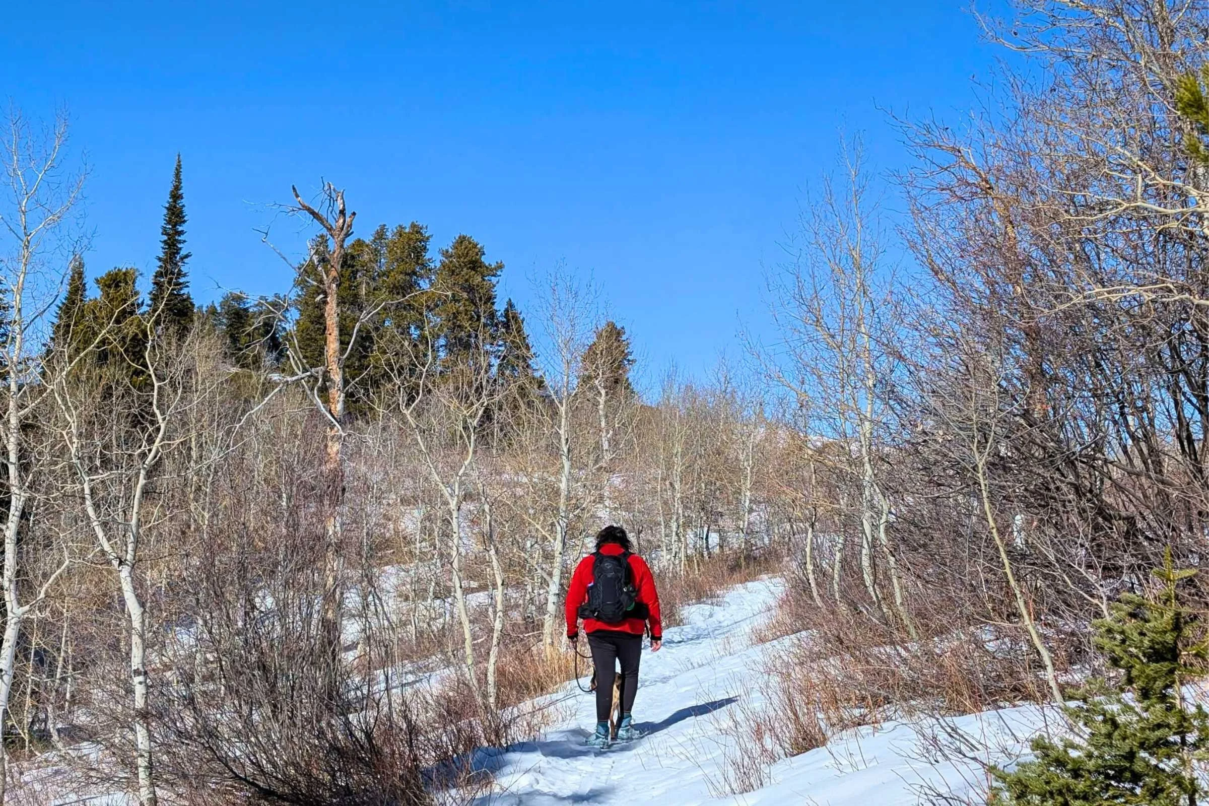 Hiking a snowy trail wearing the Osprey Tempest.