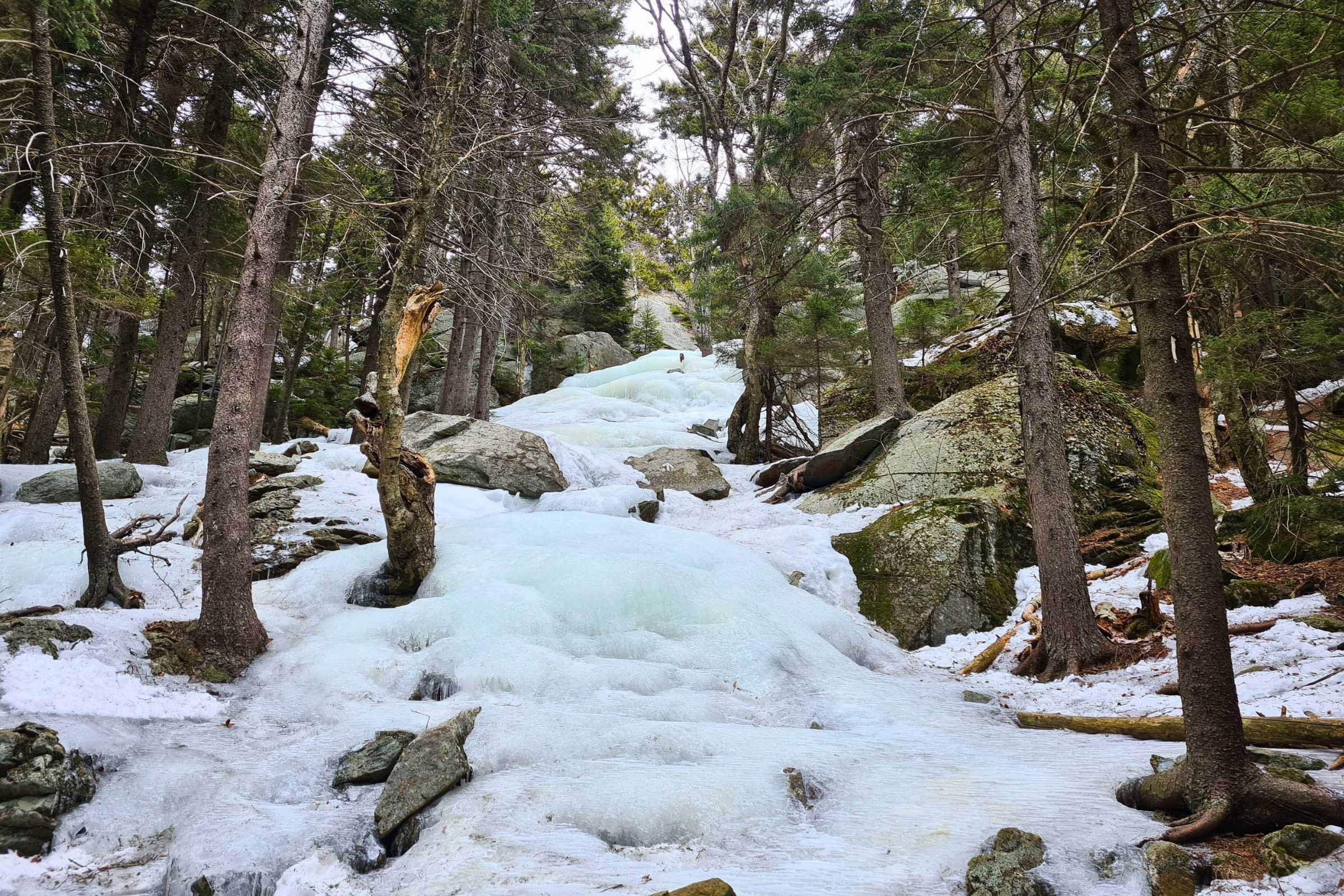 An ice-encrusted trail on Mt Monadnock in the spring. Photo by Aubri Drake.