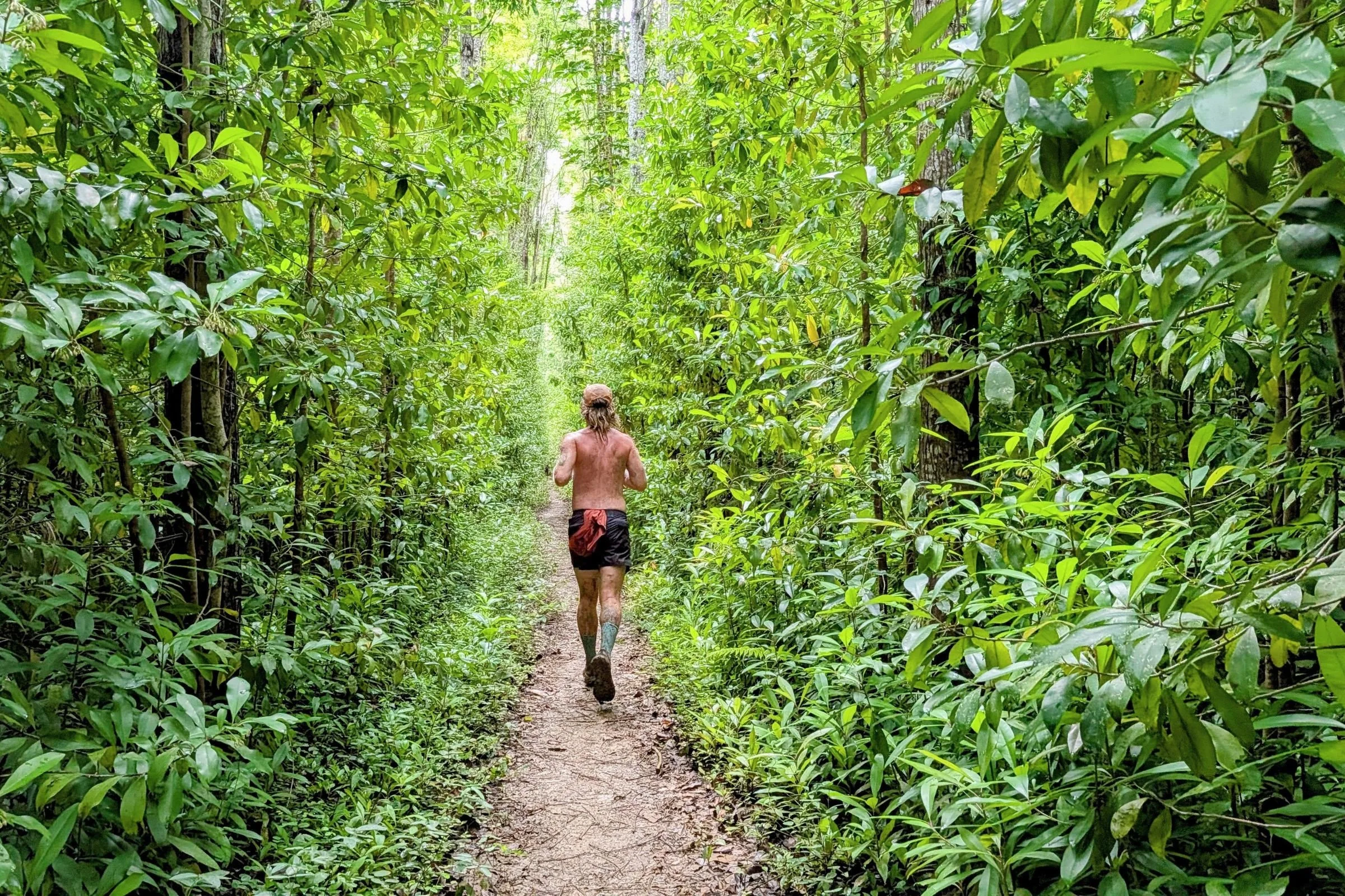 Tracksmith Twilight Running Shorts worn by a man walking through a jungle.