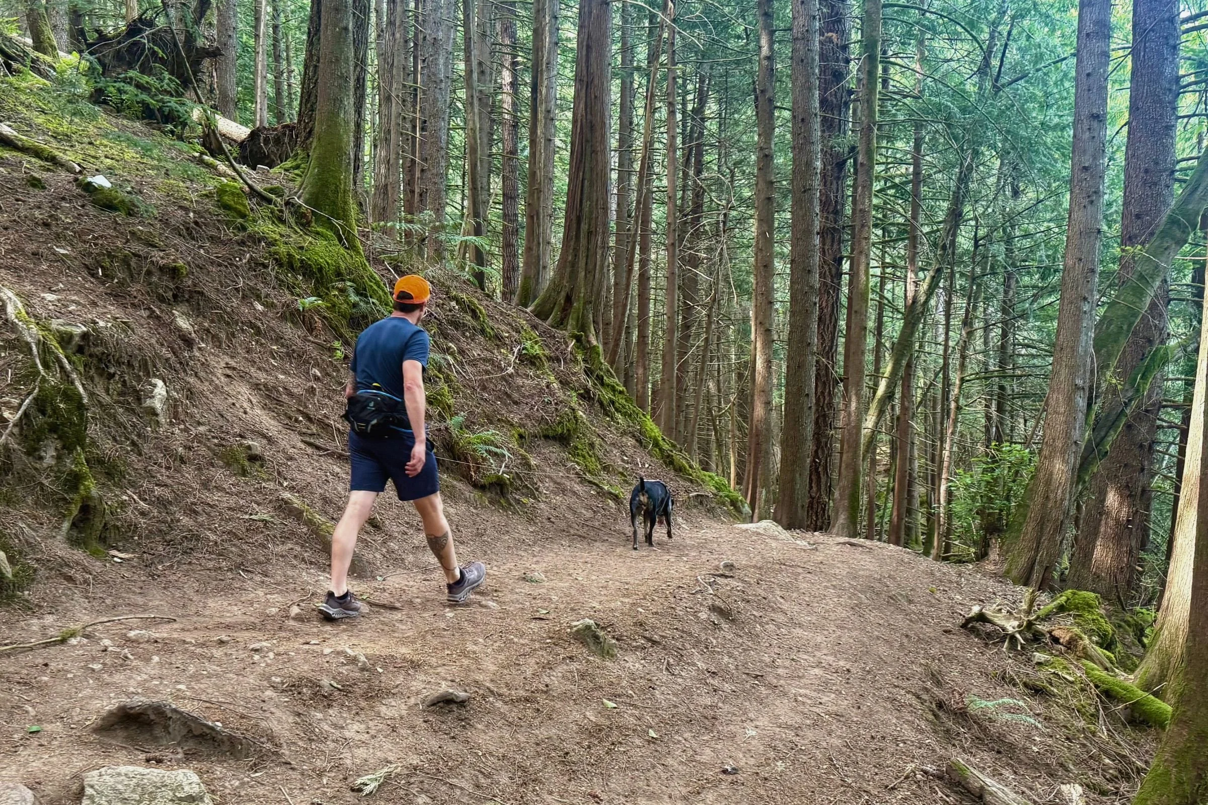 A man wearing the On Cloudhorizon 2 hiking shoes while hiking in a dense forest with a black dog.