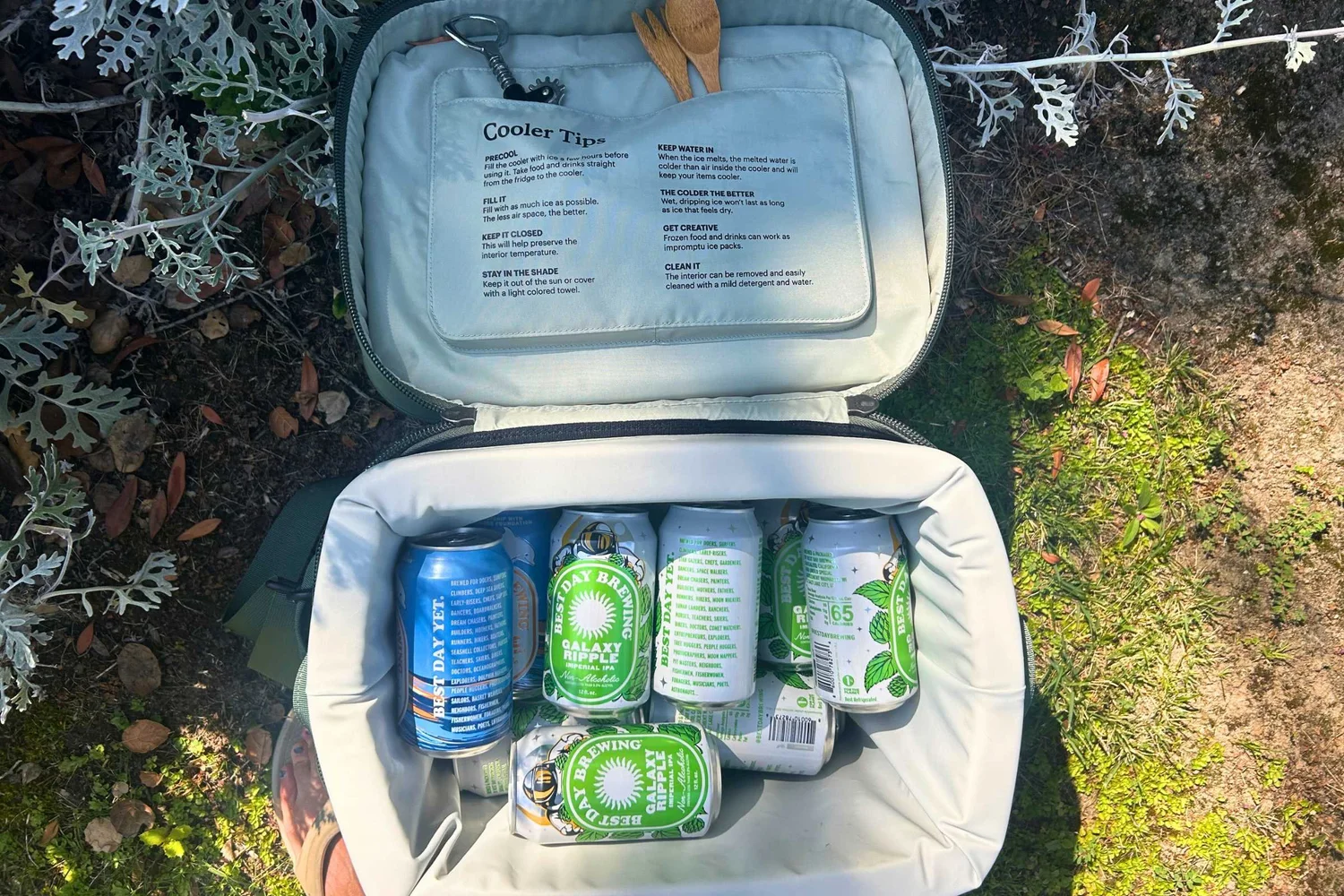 REI Co-op Trailgate 30L Weekend Cooler Review (Tested)