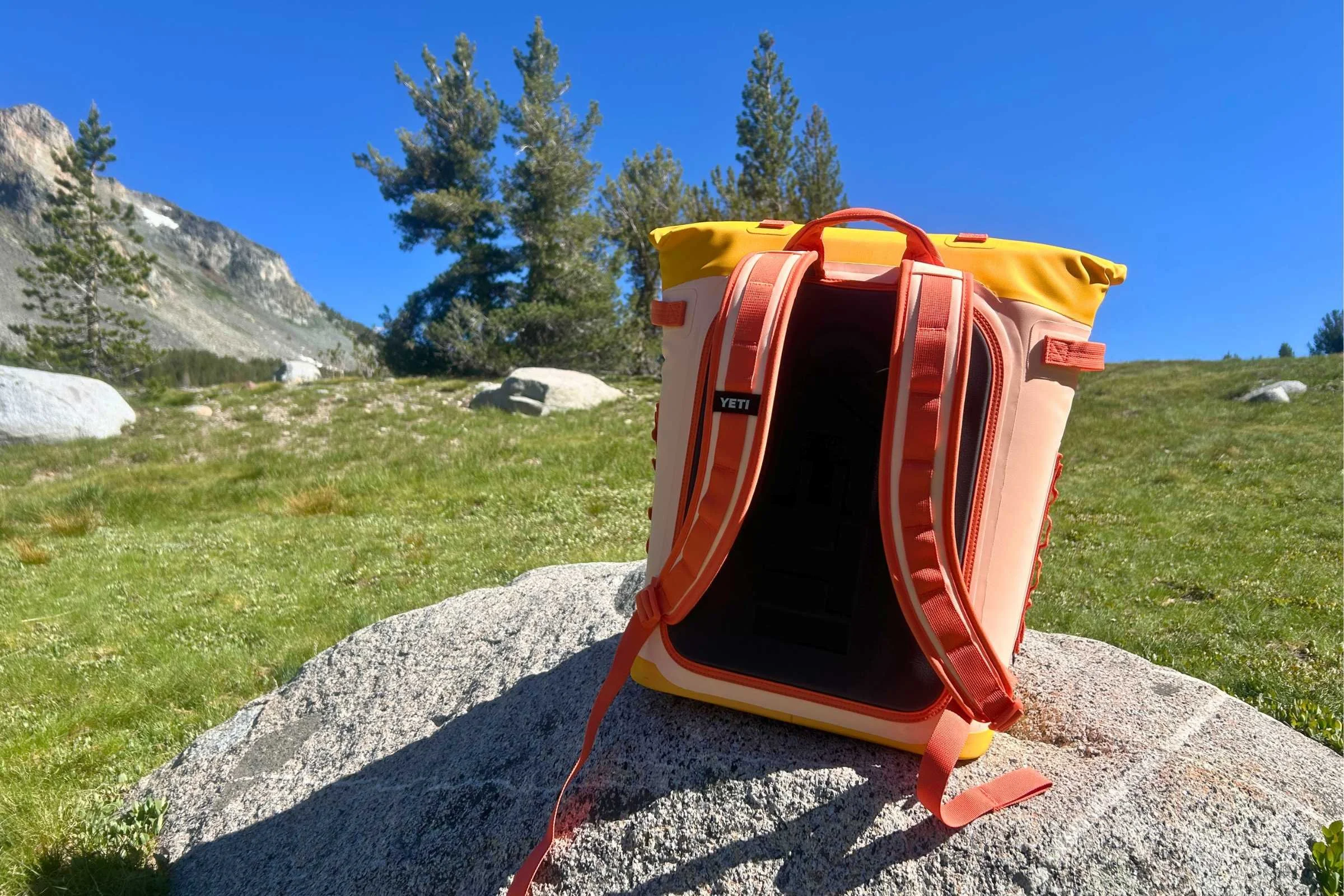 Close-up on the pack straps and back padding on the YETI Hopper M20 2.0 backpack soft cooler.