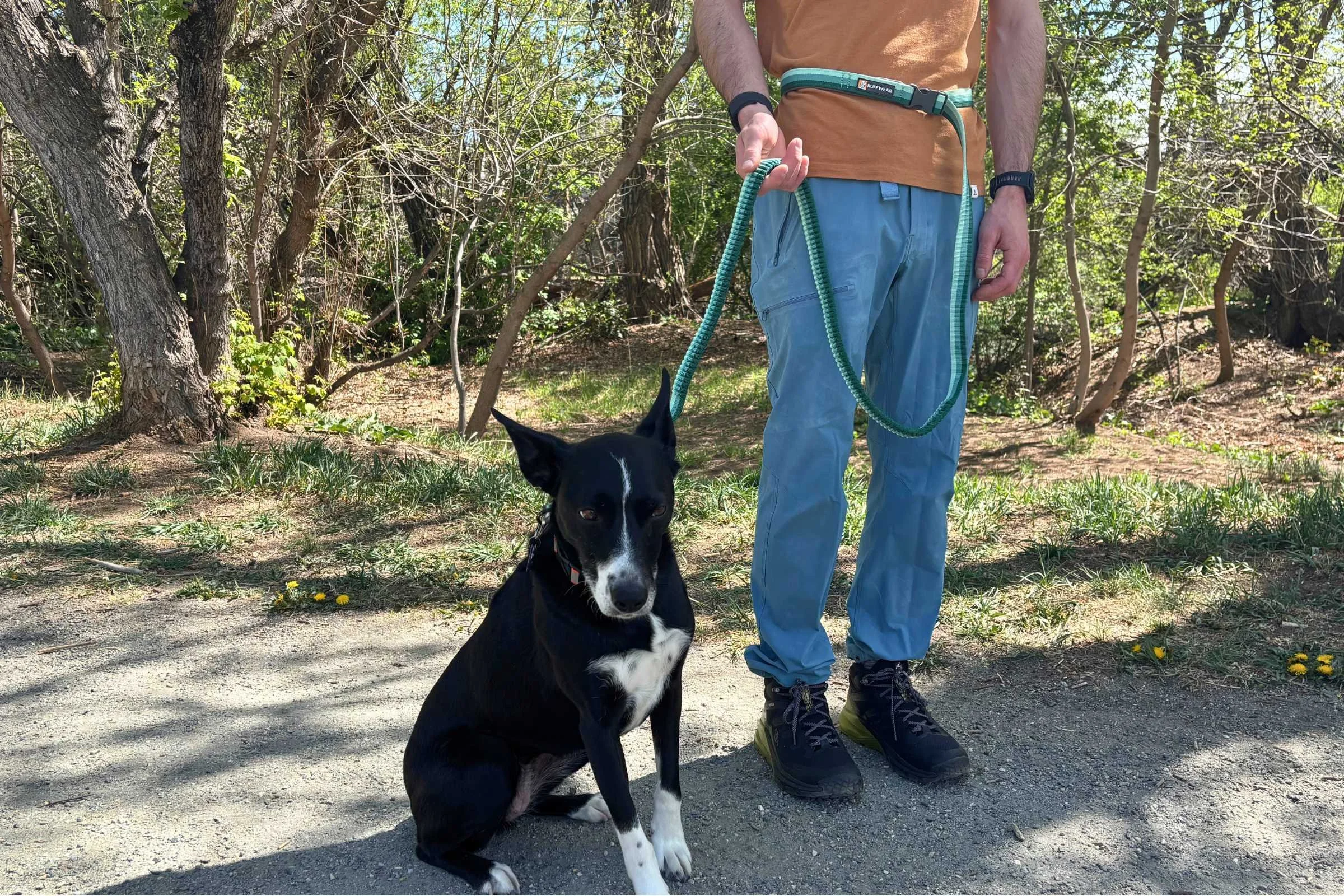 Person walking with dog using hands free leash