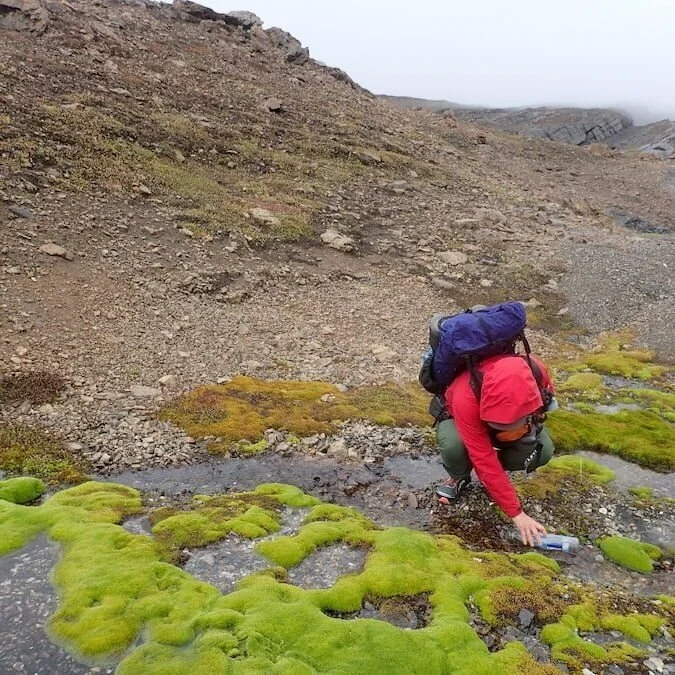 Uv Light Water Purifier Backpacking Shelly Lighting