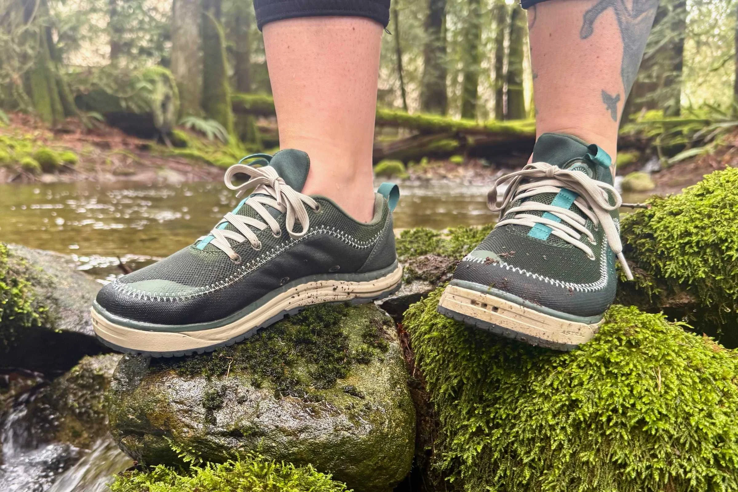 green astral brewer 3.0 water shoes on mossy rocks