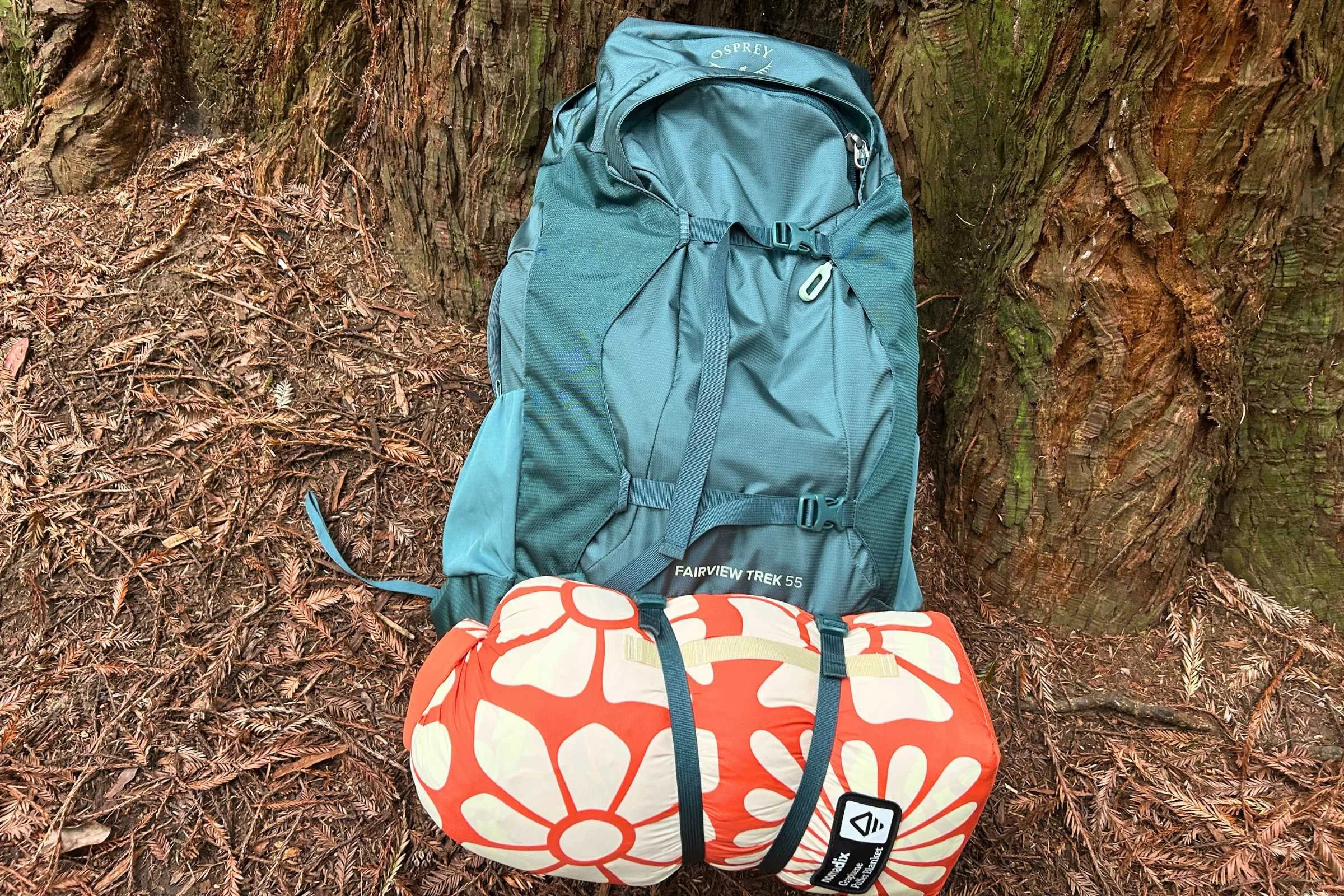 The Osprey Fairview Trek 55 Travel Pack sitting on the ground next to a tree.