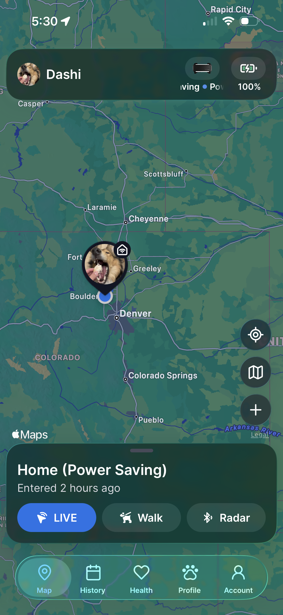 Tractive dog 6 location map