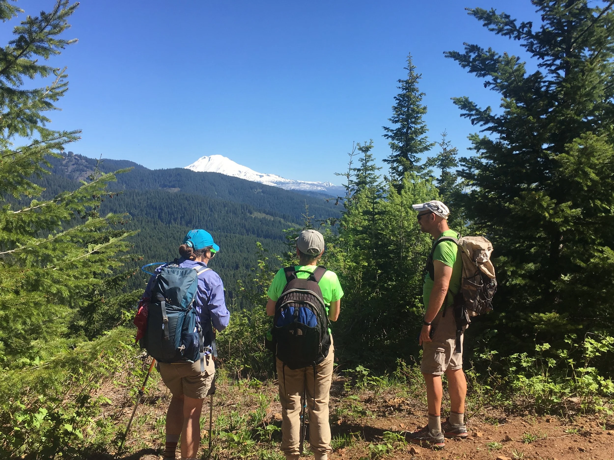 Three hikers on trail at an overlook, all wearing Darn Tough Hiker Micro Crew Midweight hiking socks