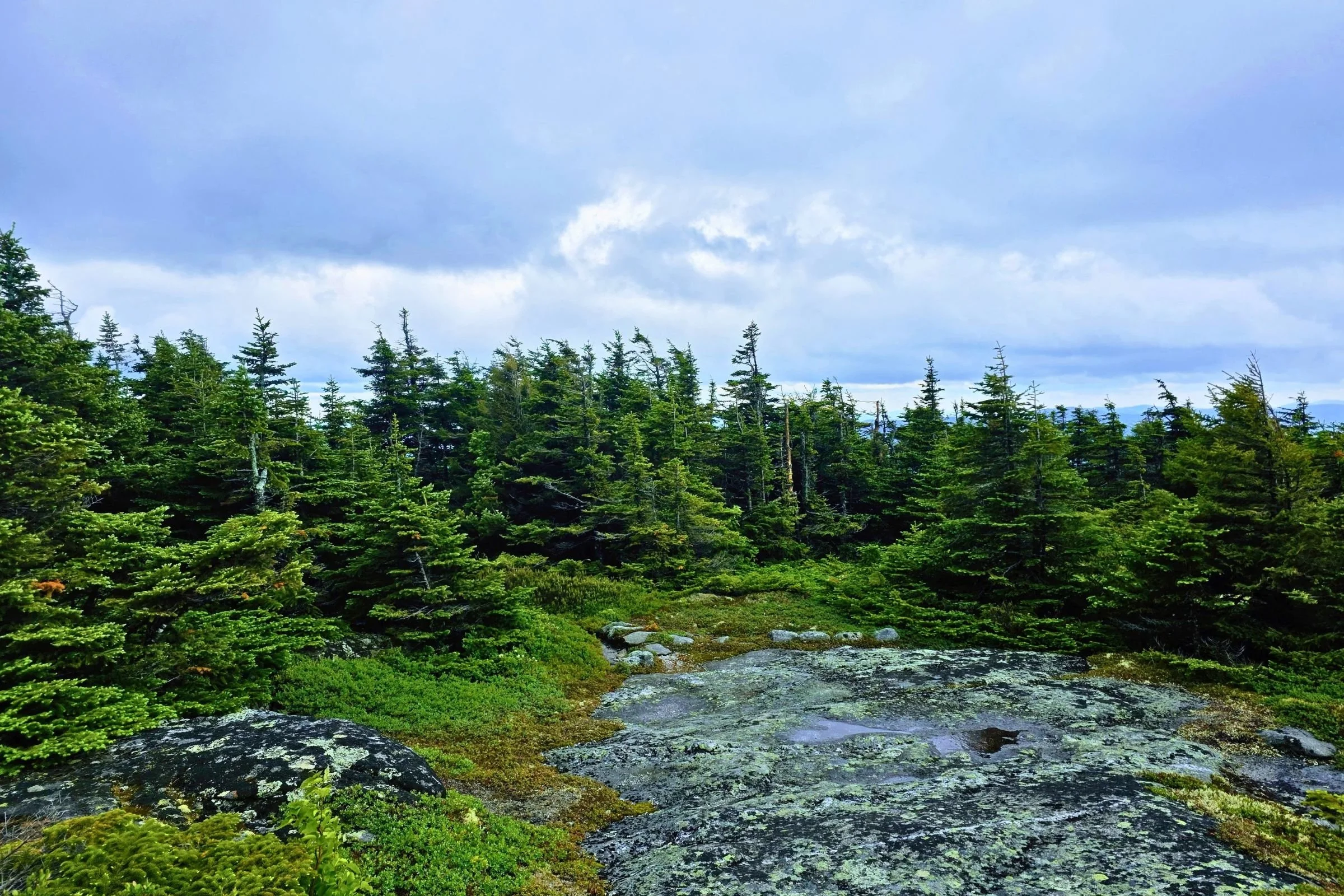 The easy-to-miss sharp right turn to head down East Baldpate via the GLT rather than the AT. Photo by Aubri Drake.