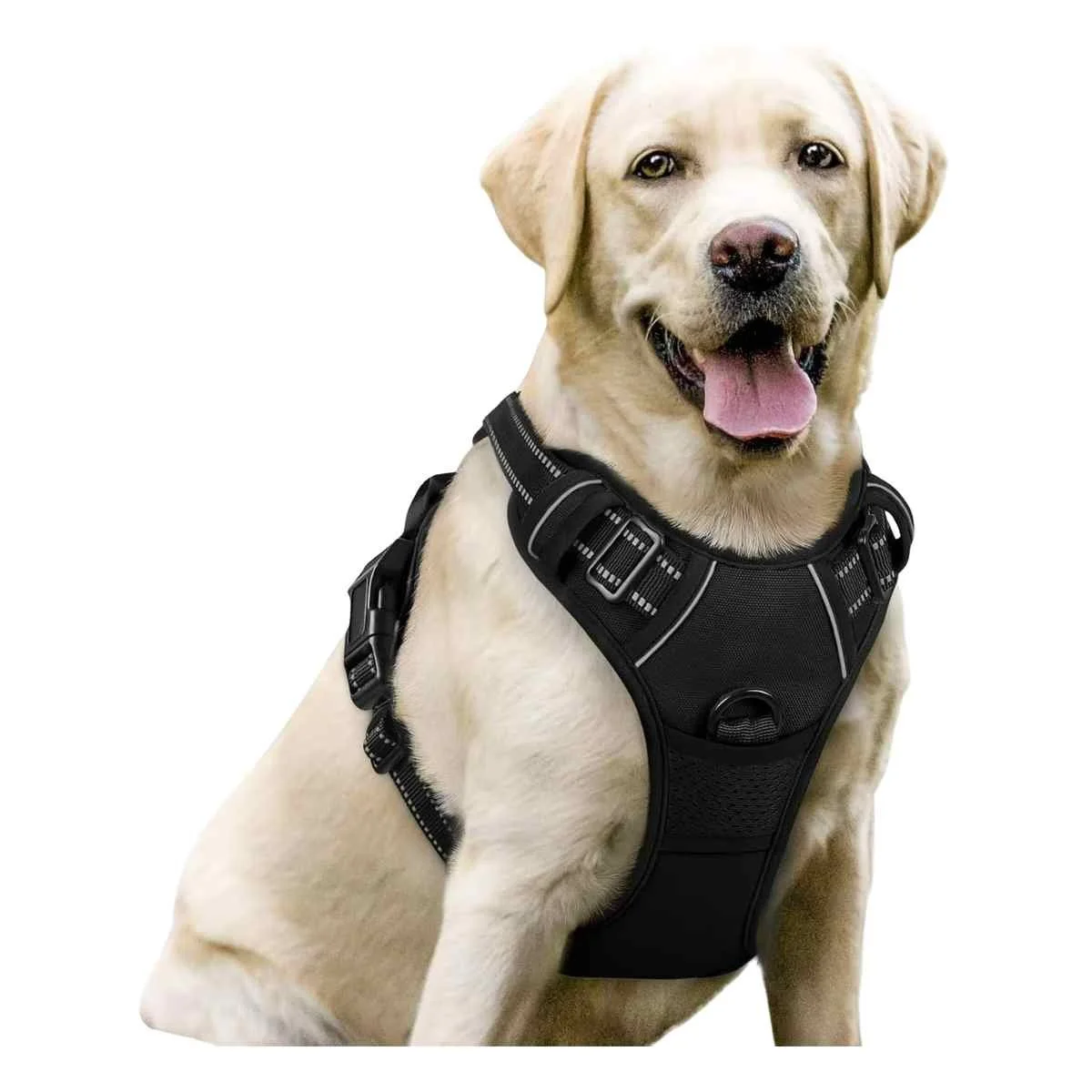 Rabbitgoo Dog Harness