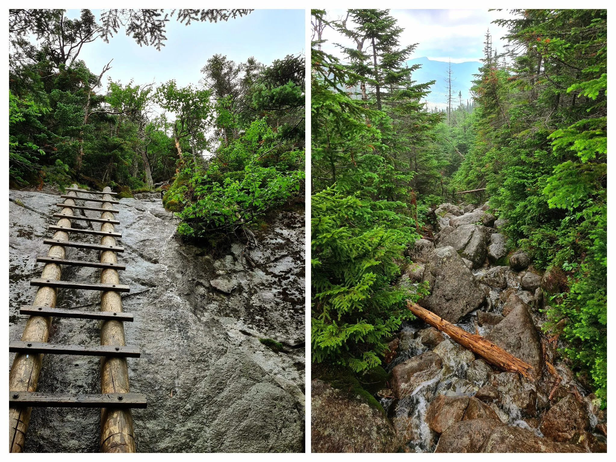 The tough terrain only gets tough when the trail is wet. Photos by Aubri Drake.