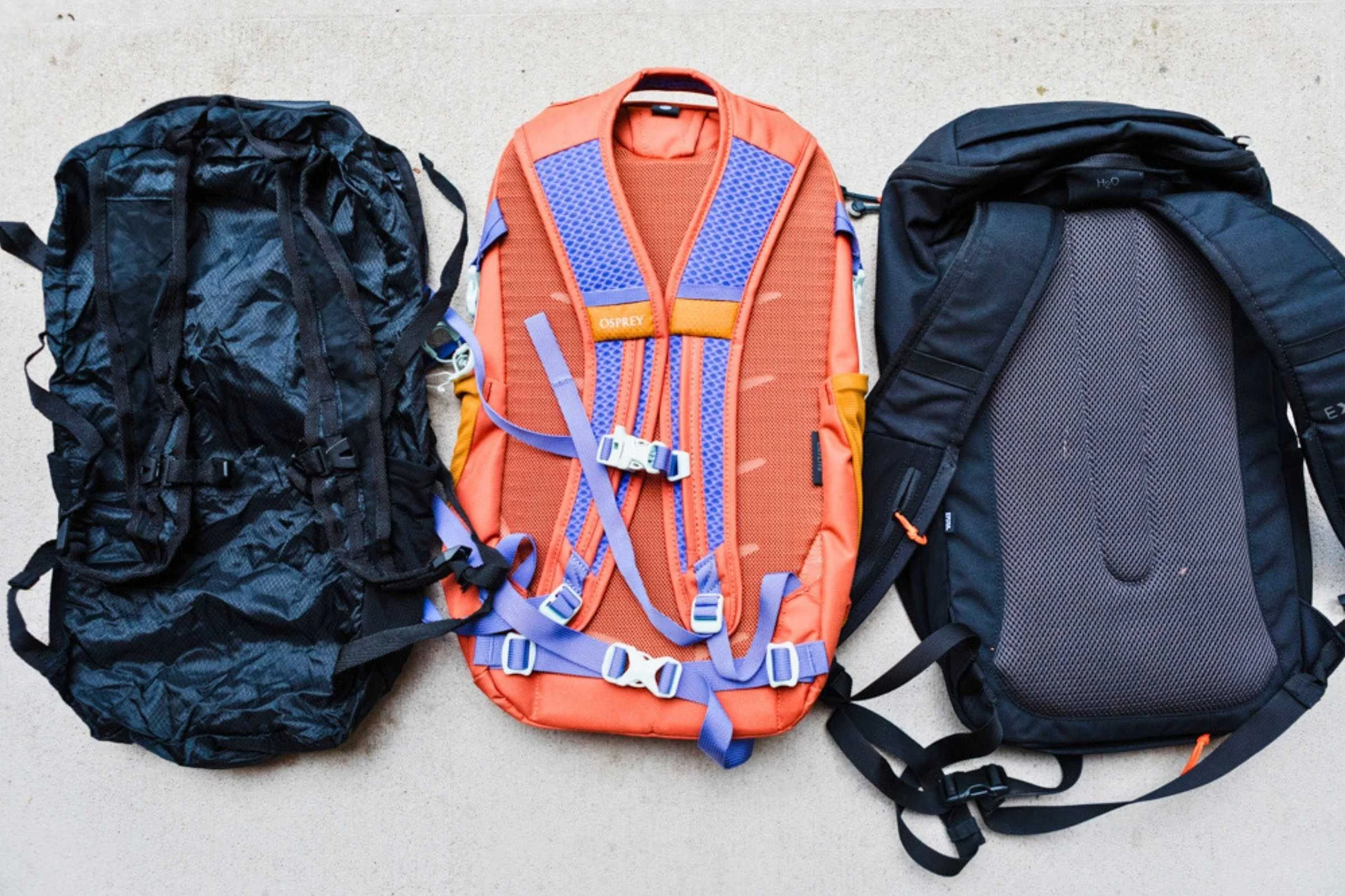 Three packable backpacks laid flat showing different back panel construction: flat fabric, lightly padded, and structured