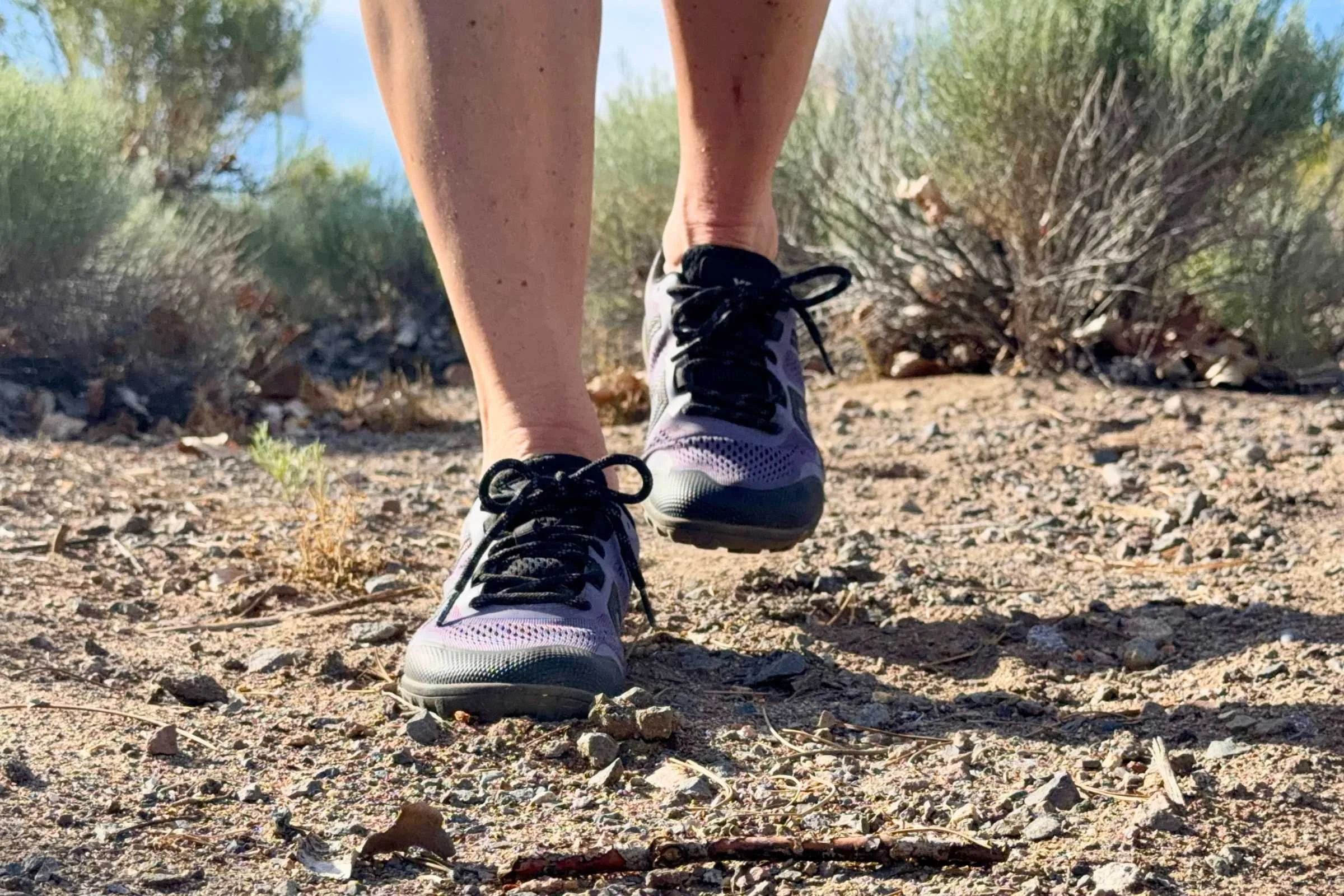 Hiking through the high desert in the Xero Mesa Trail II. Photo courtesy Maggie Nichols