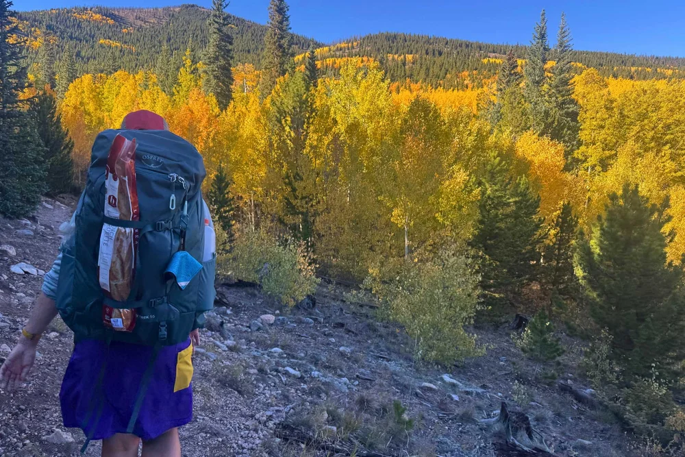 30l travel backpack near me Peak Design Color:PATCHWORK: STELLER BLUE 442A Loungefly x Disney DuckTales a built
