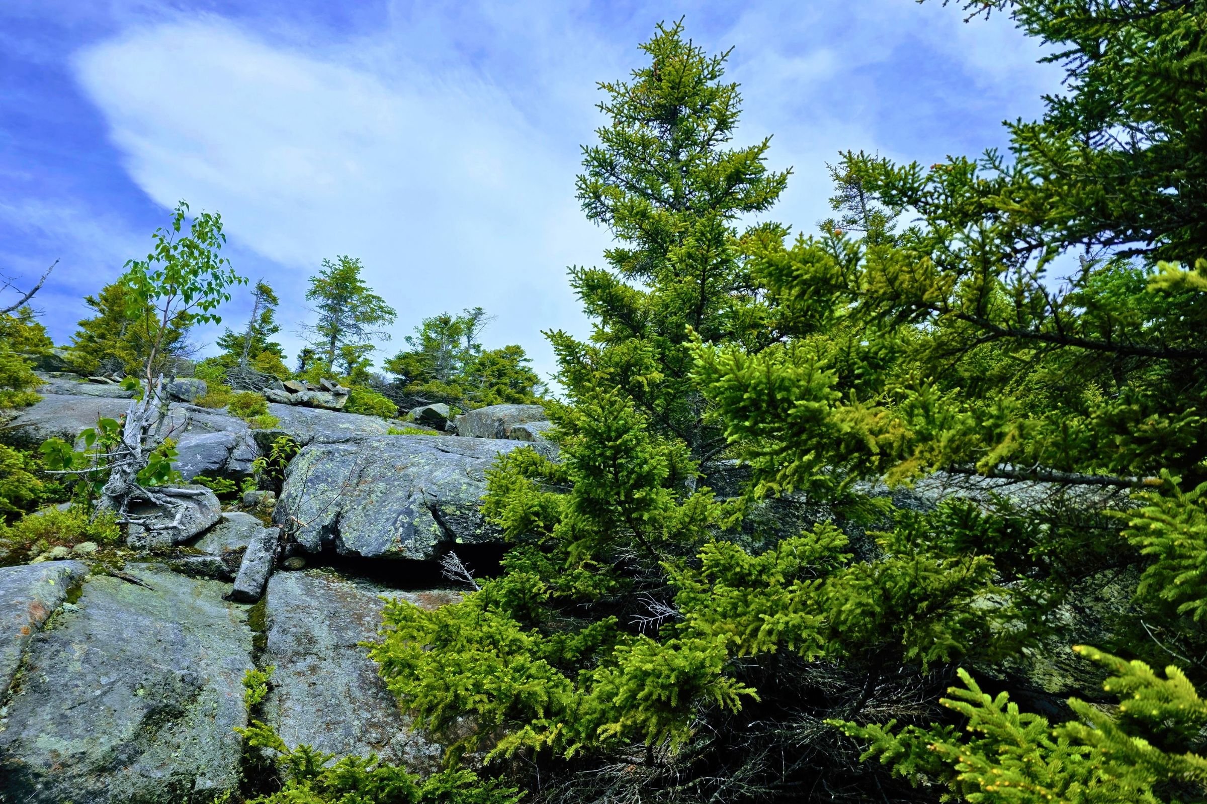 The initial descent off of Puzzle Mountain. Photo by Aubri Drake.
