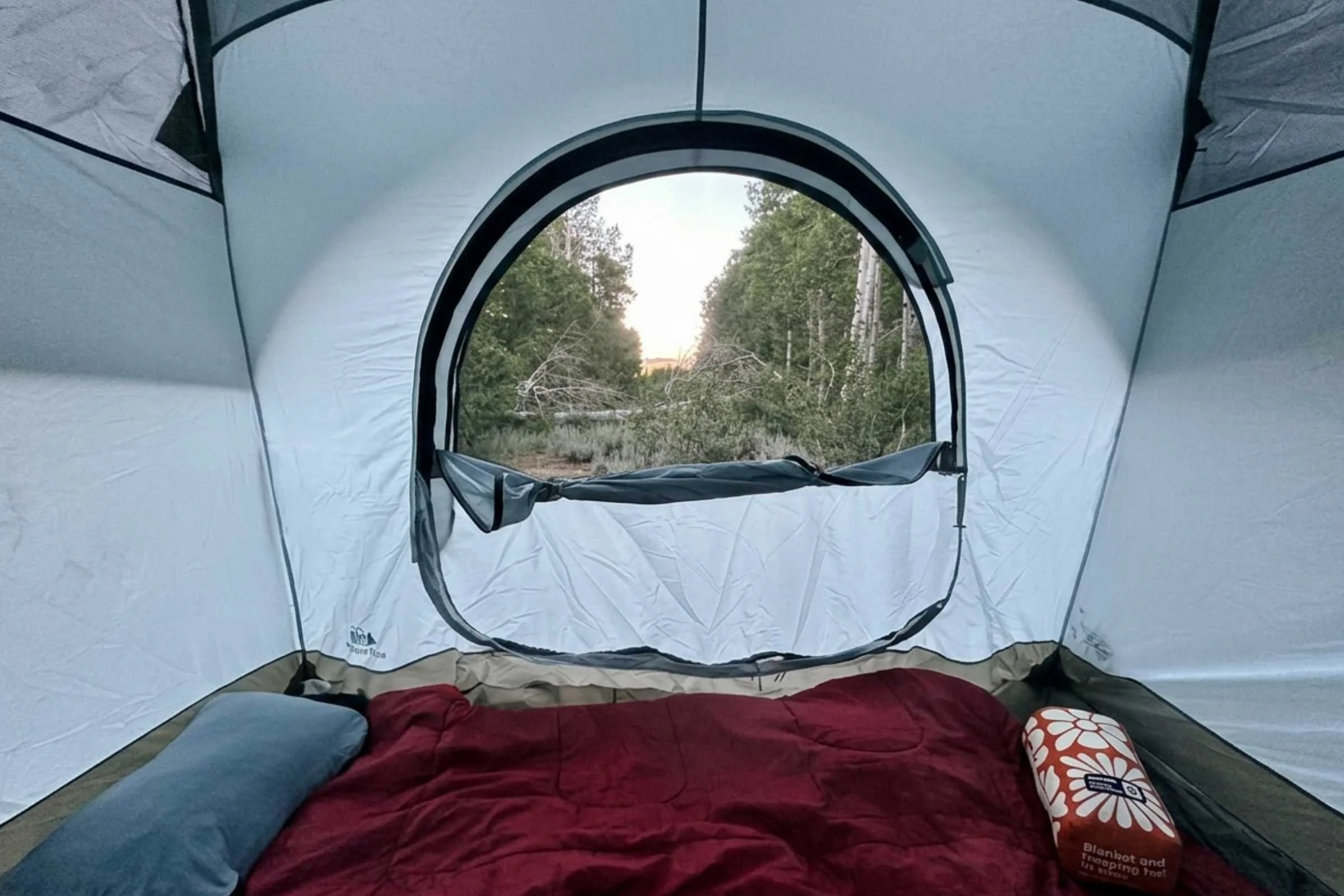REI Co-op Westward 6 Tent setup interior view
