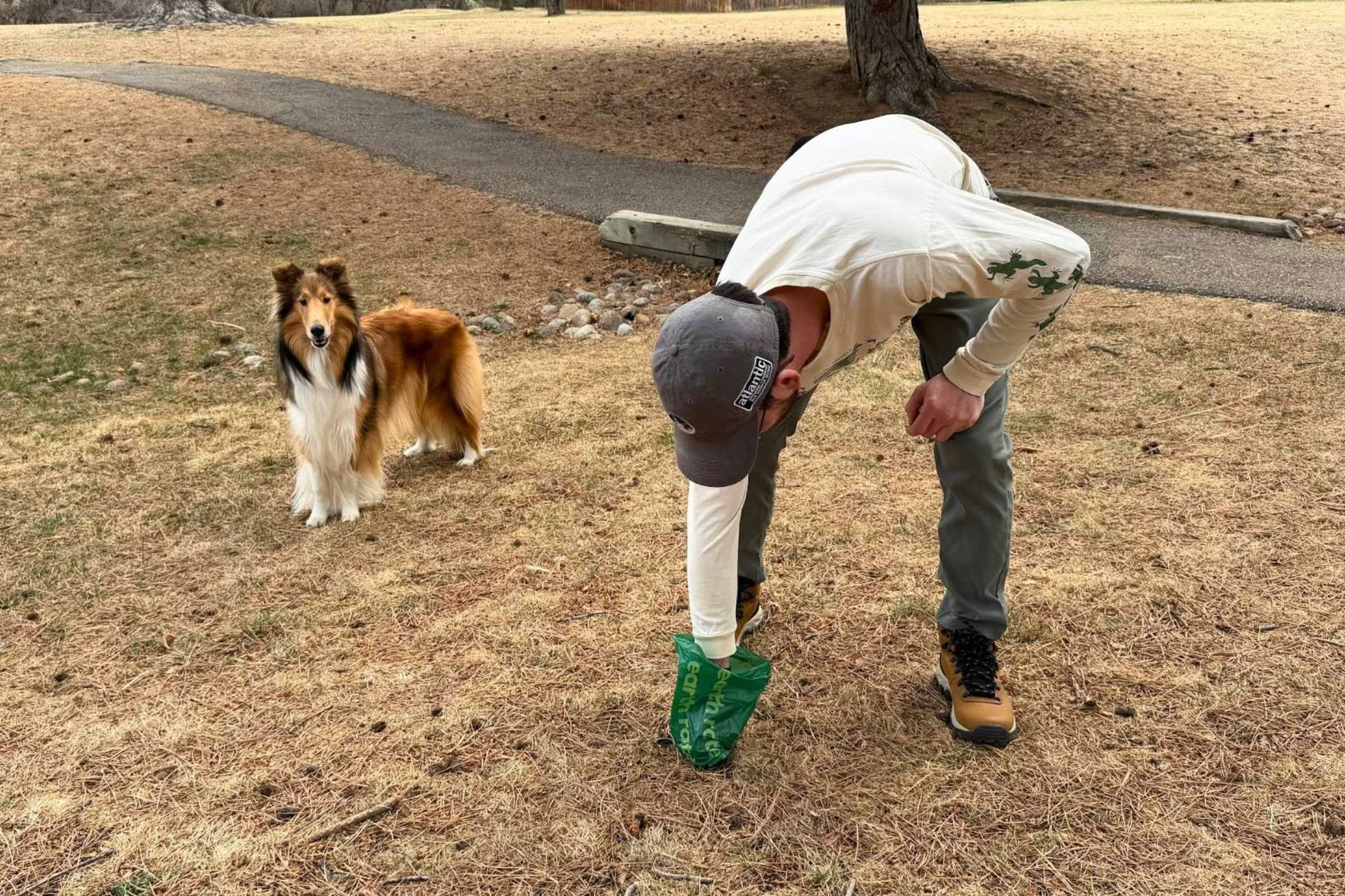 Man wearing a hat picking up poop with a poop bag