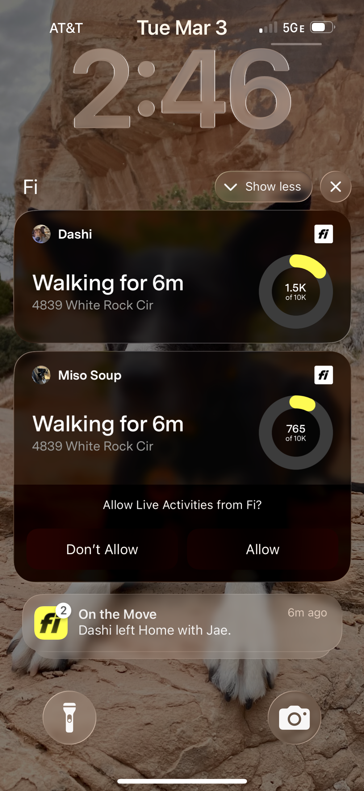 The Fi app gives great notifications when your dog is on a walk, and they’re very accurate.