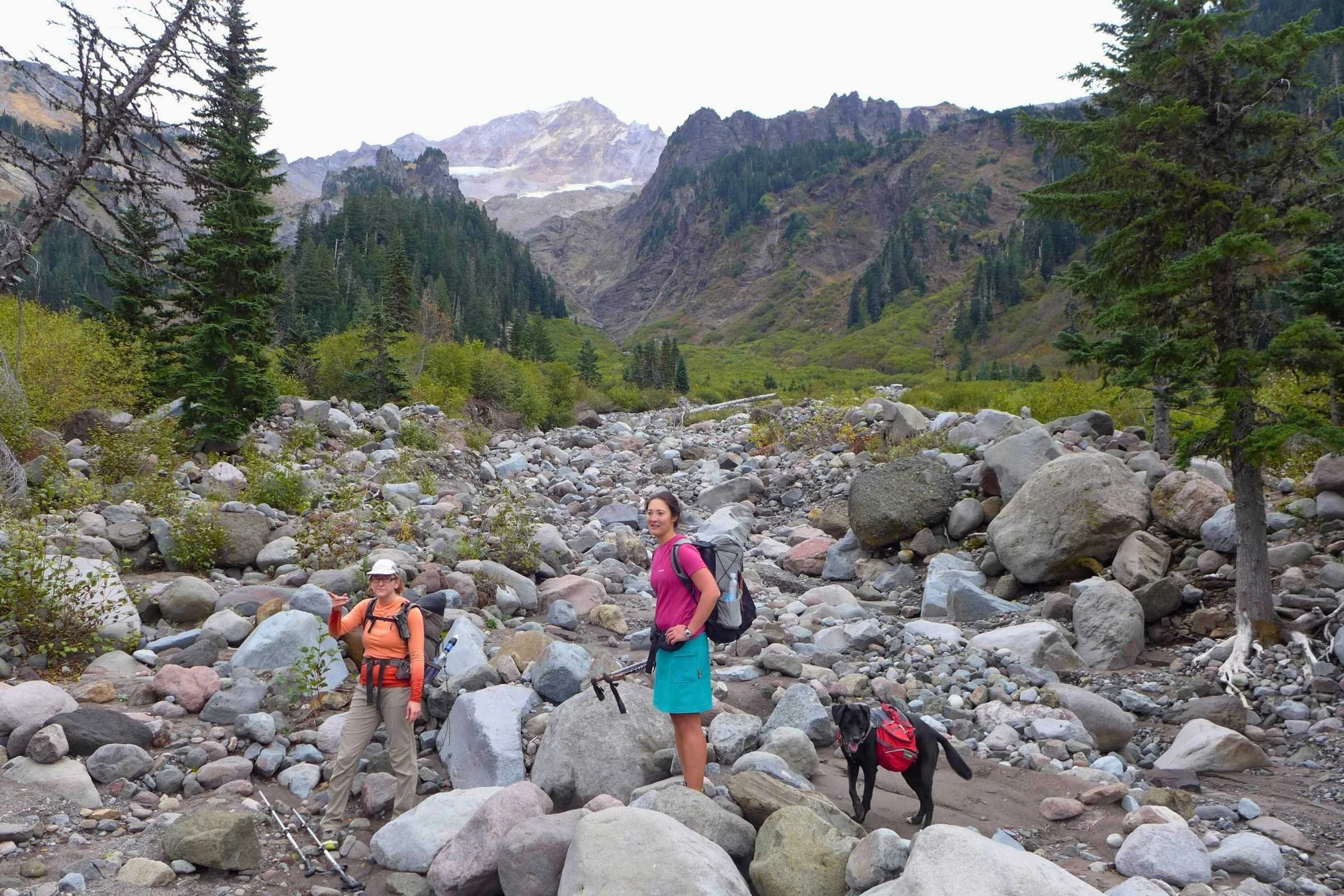 Timberline Where to Go Guide