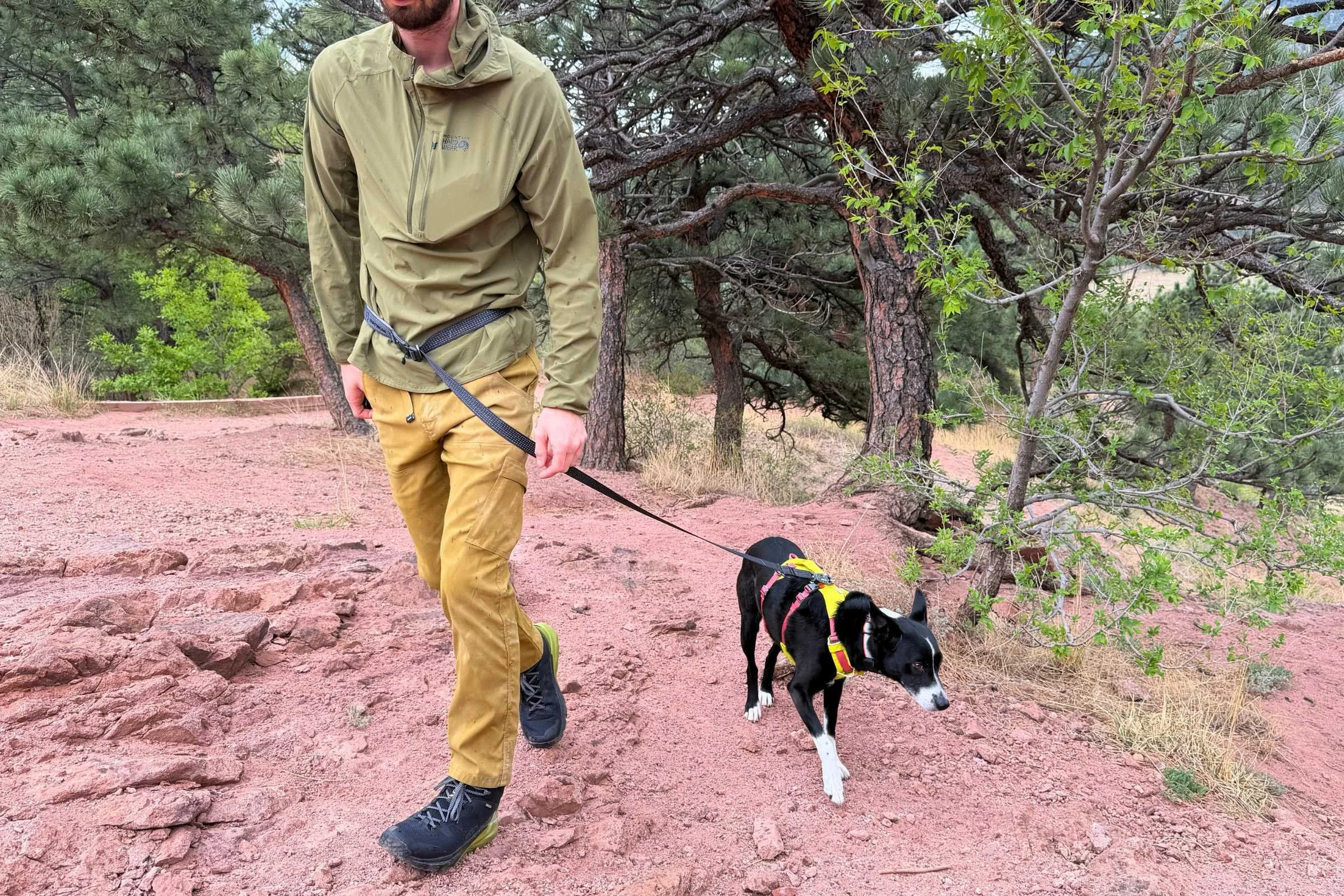 Ruffwear Ridgeline being worn as a waist leash attached to a black and white dog