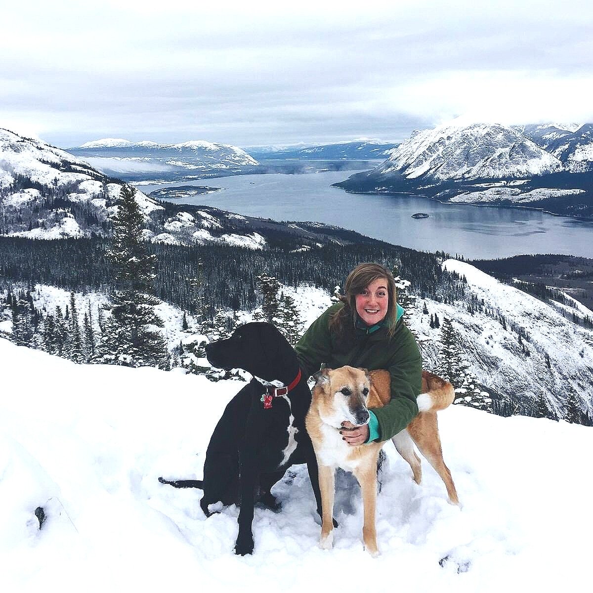 How to Ski and Snowshoe With Your Dog