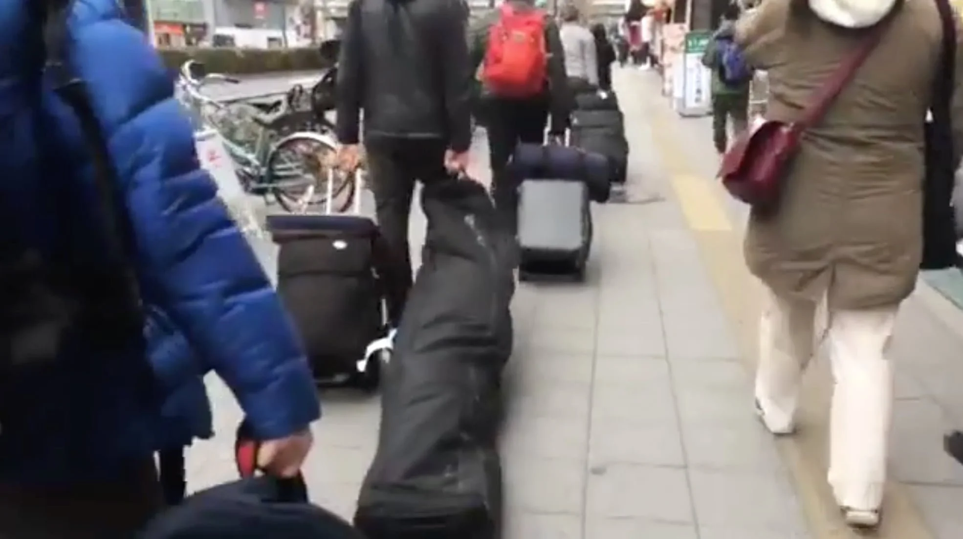 Best Ski Travel Bags of 2023 — Treeline Review