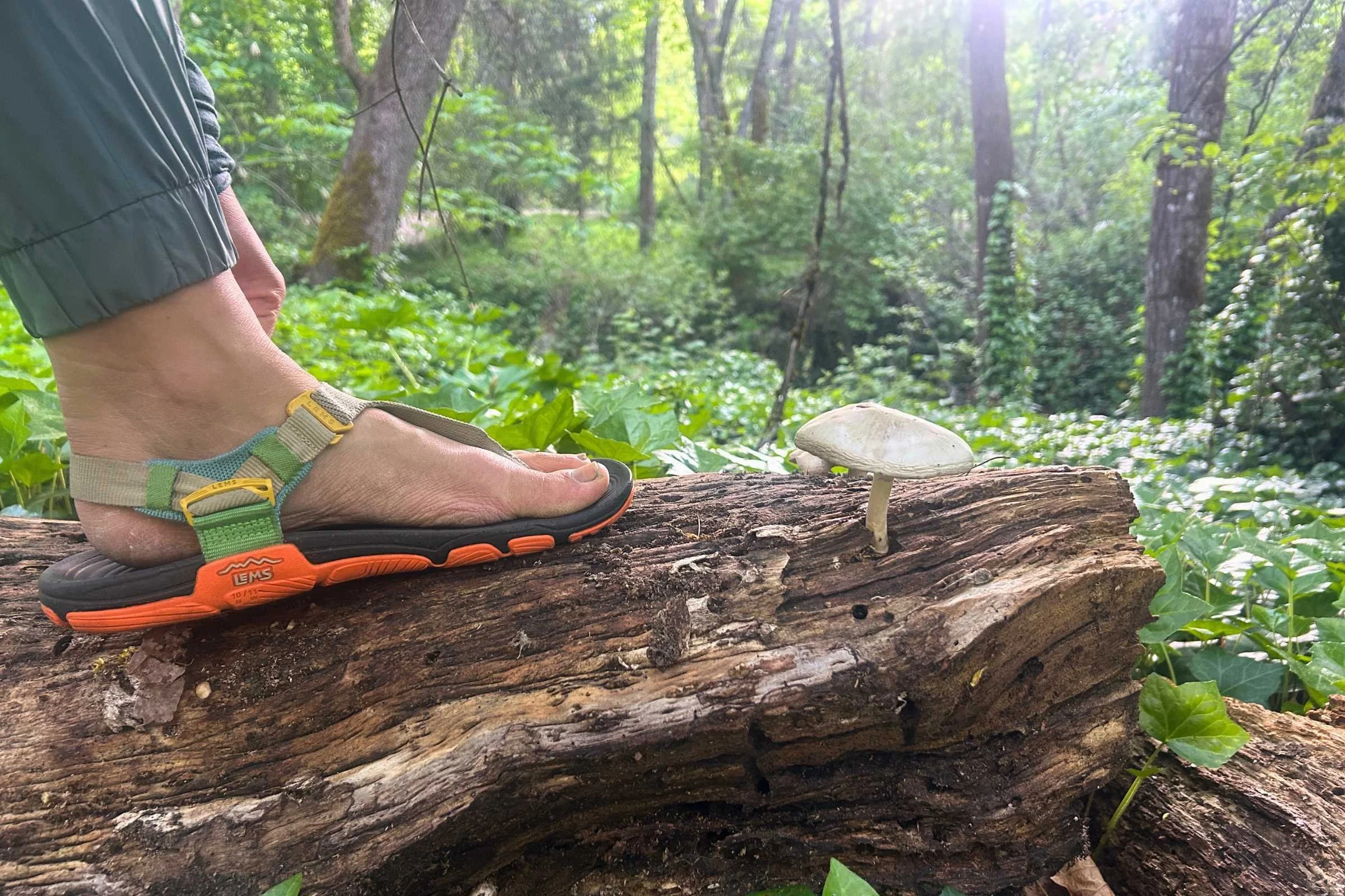 The Switchback Knit uses durable metal buckles instead of the plastic buckles typical found on hiking sandals.