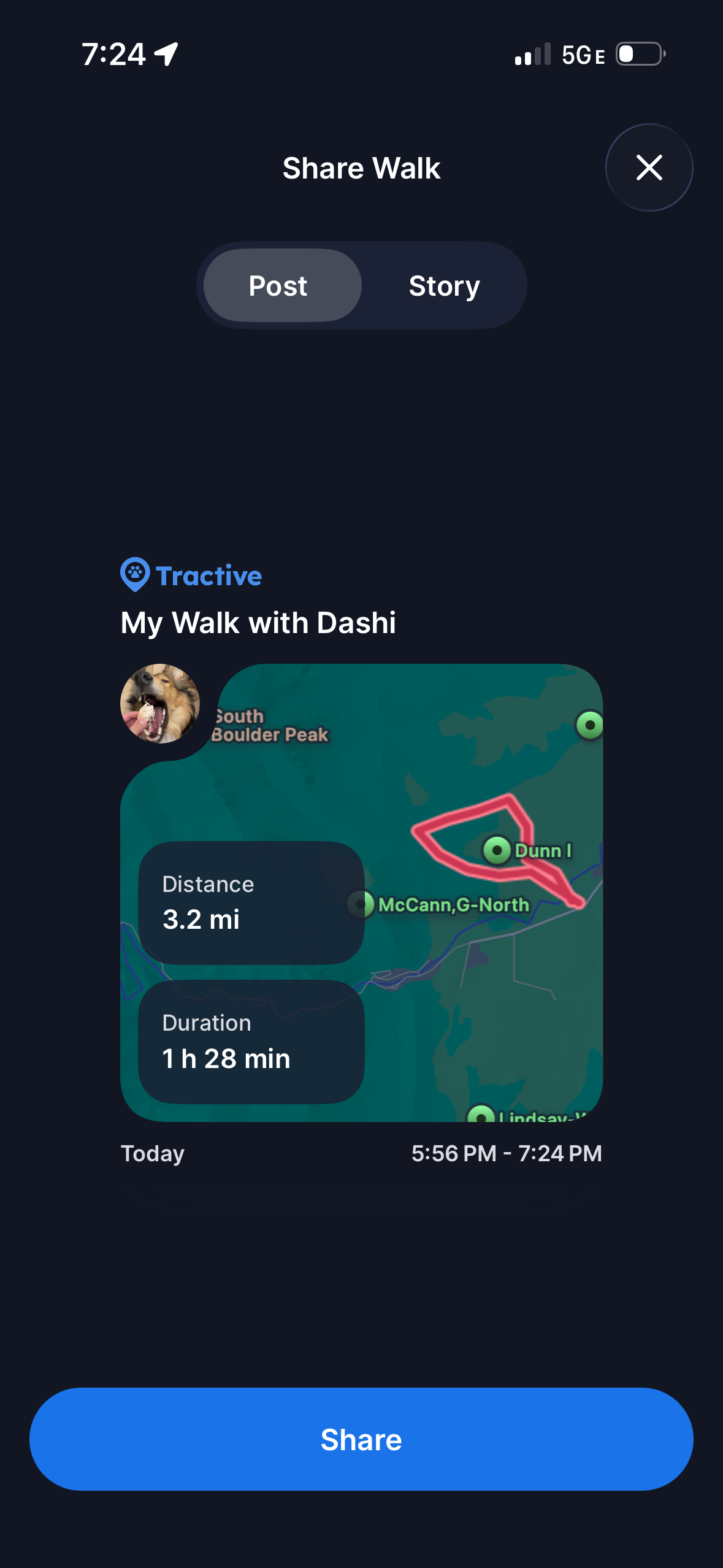 Tractive dog 6 walk stats