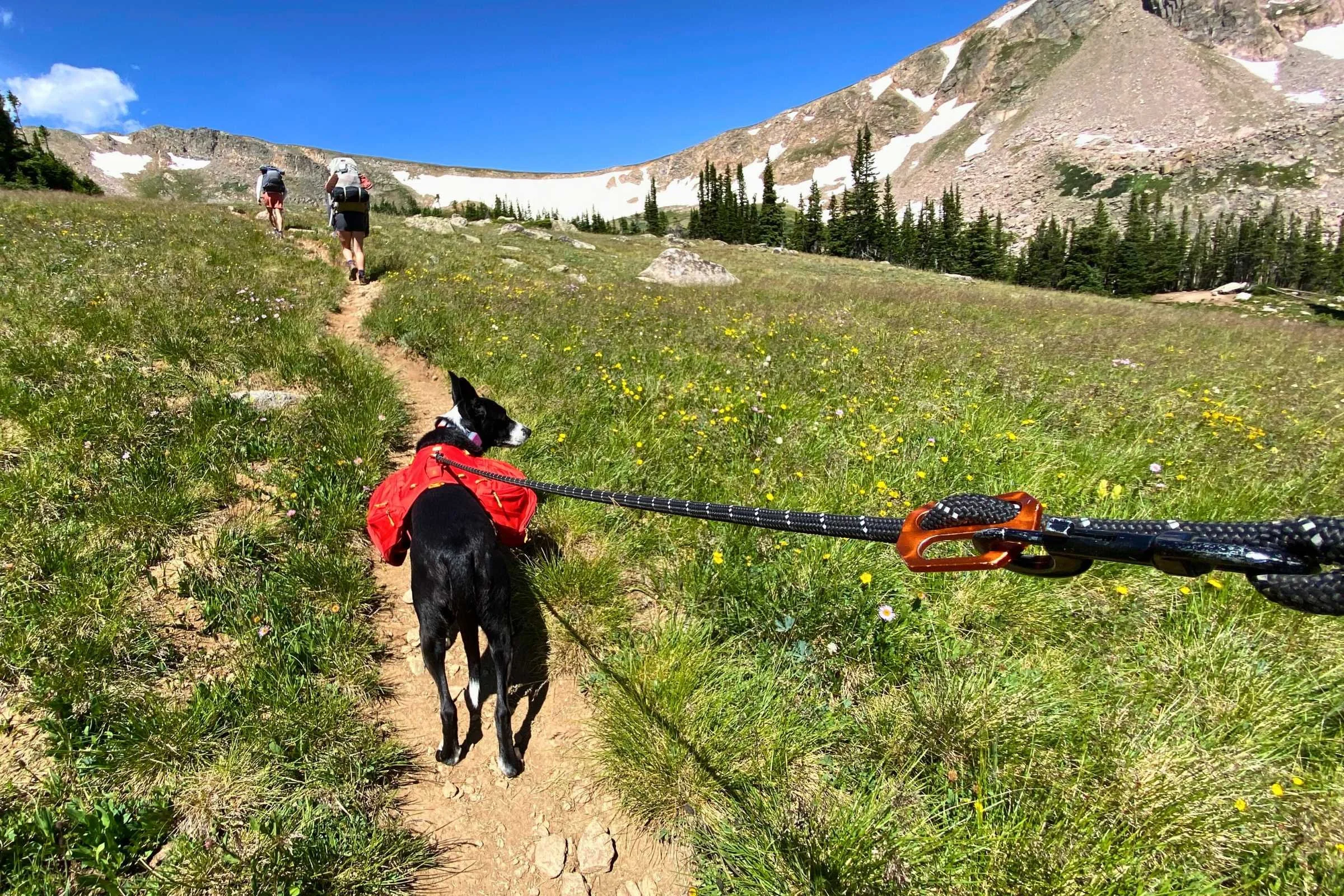 Dog hiking with Ruffwear Palisades Dog Pack
