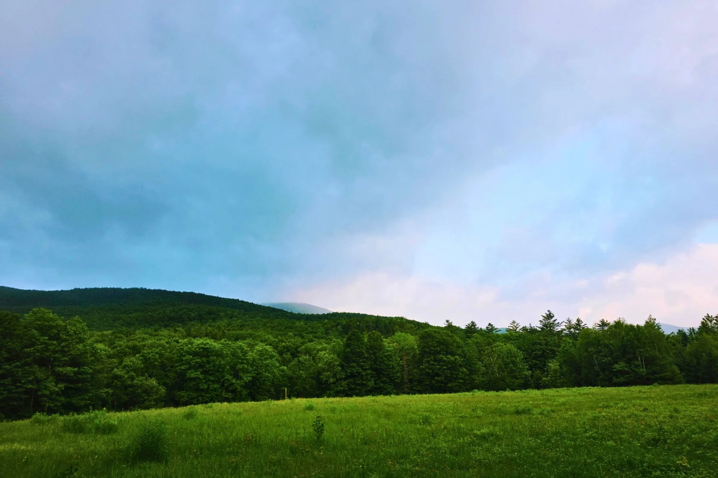 The GLT offers a wide variety of views, from mountain summits to open meadows. Photo by Aubri Drake.