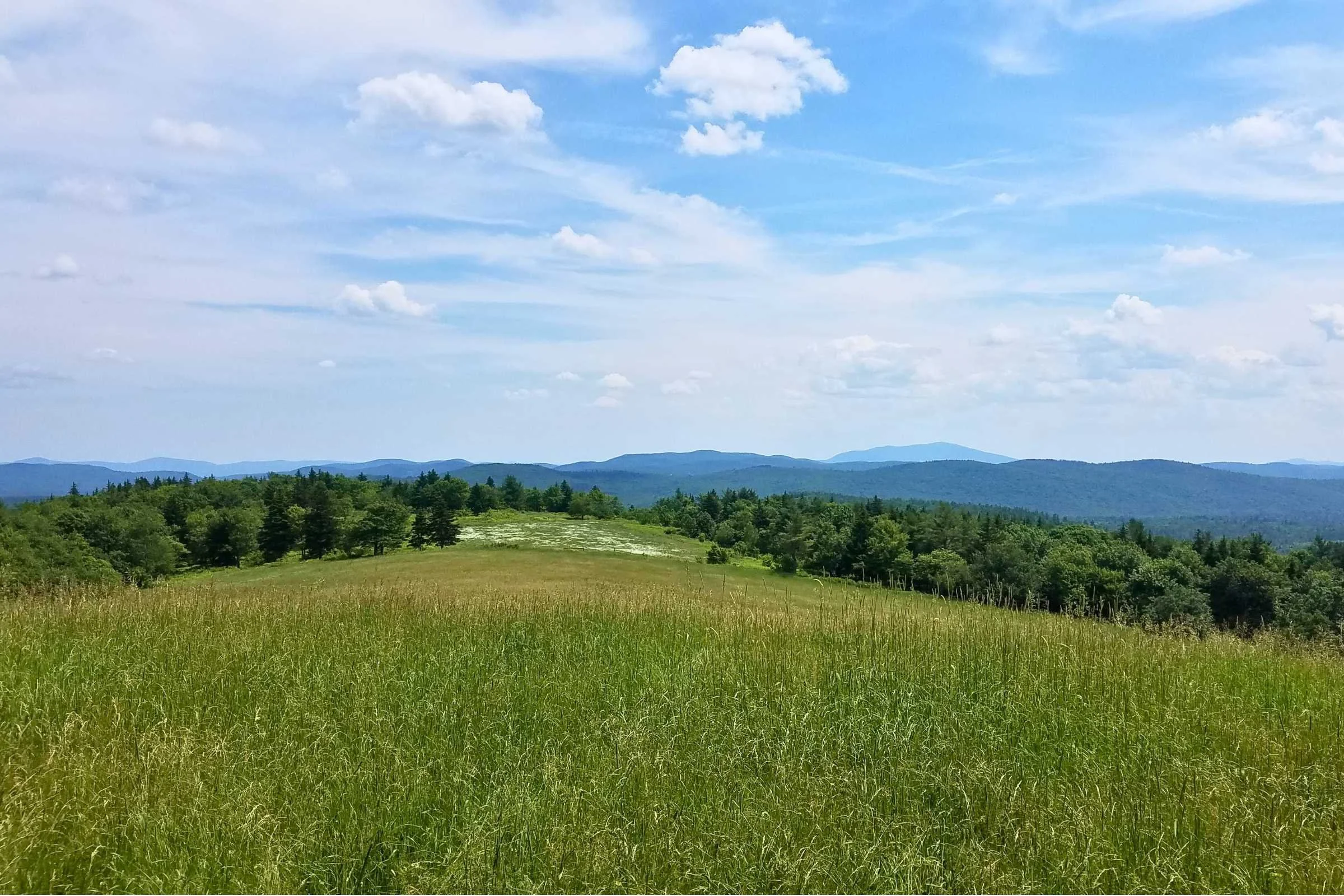 The view from Pitcher Mountain, with Mt Monadnock in the distance. Photo by Aubri Drake.