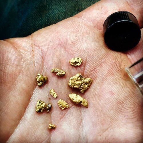 Large Gold Mining Kit + Black Sand Magnet | Vial | Snuffer Bottle | 12  Gold Pan | Gold Picker Paydirt!